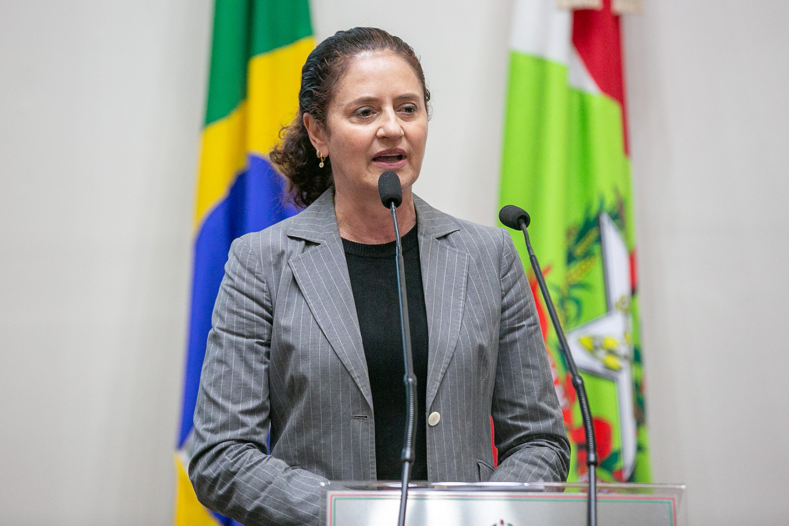 Deputada Marlene Fengler (PSD)