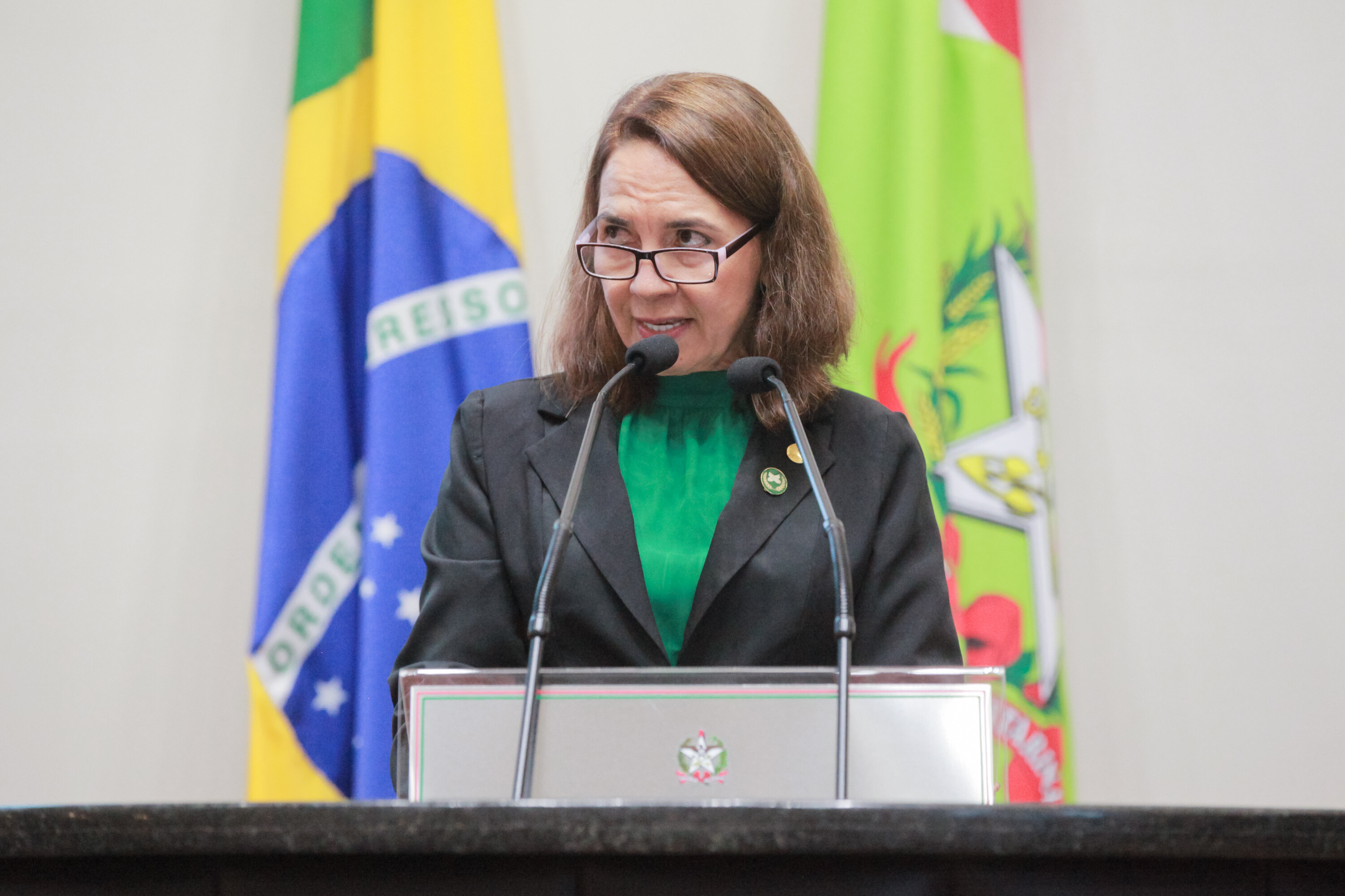 Jussane Lopes Bonifácio Guimarães, presidente da Fraternidade Feminina Cruzeiro do Sul, falou em nome dos homenageados.