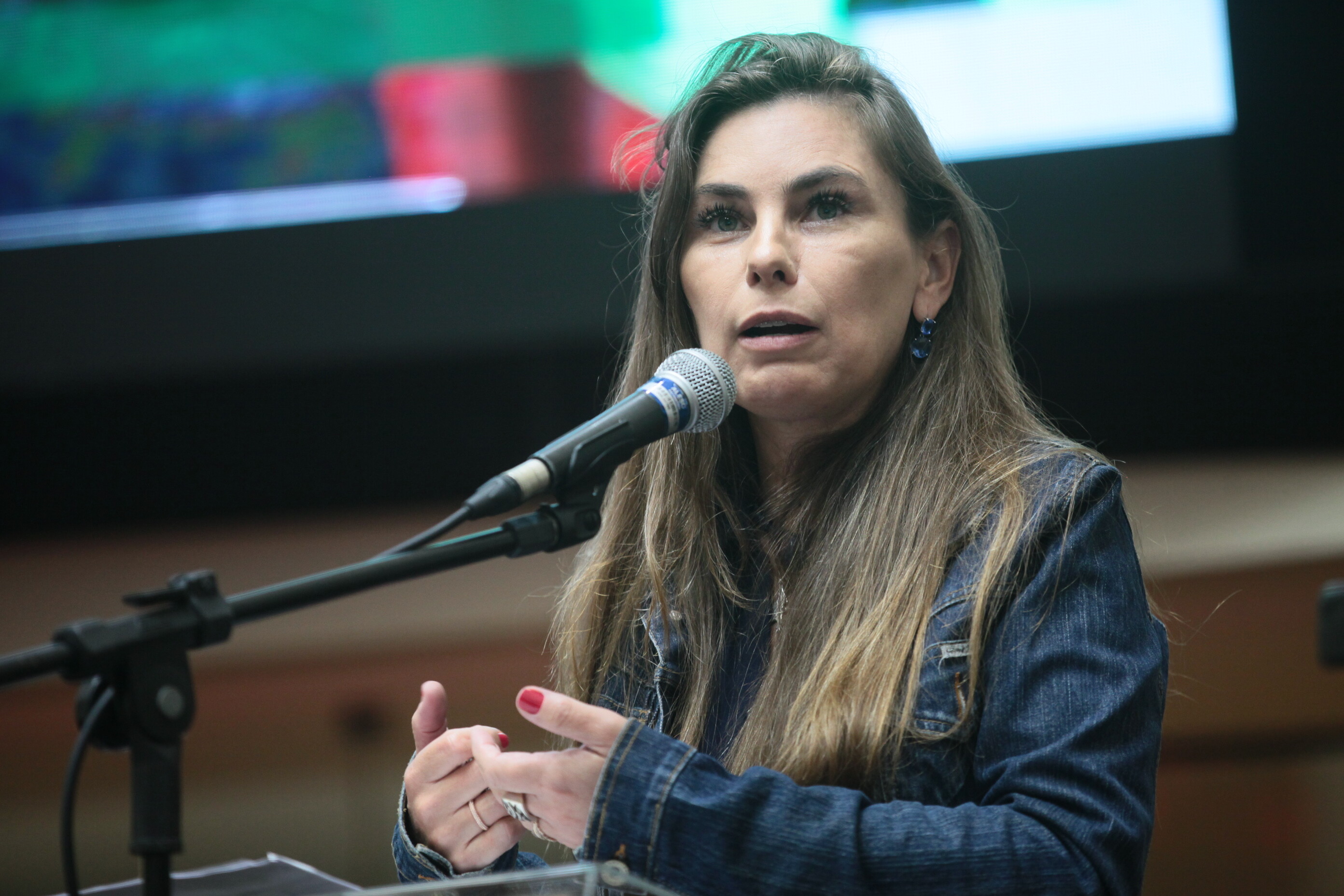 Deputada Paulinha.