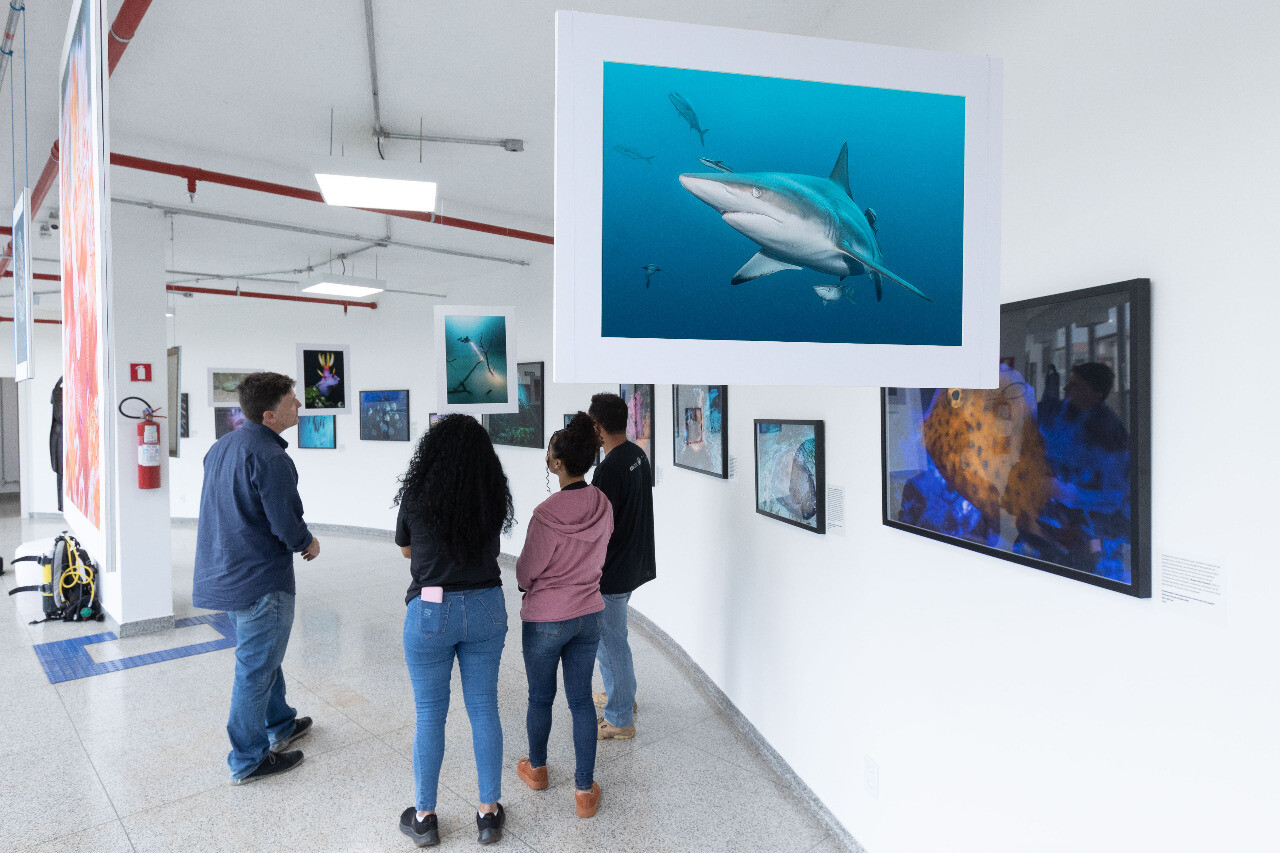 Turistas e moradores de Brasília visitam a exposição. FOTO: Divulgação