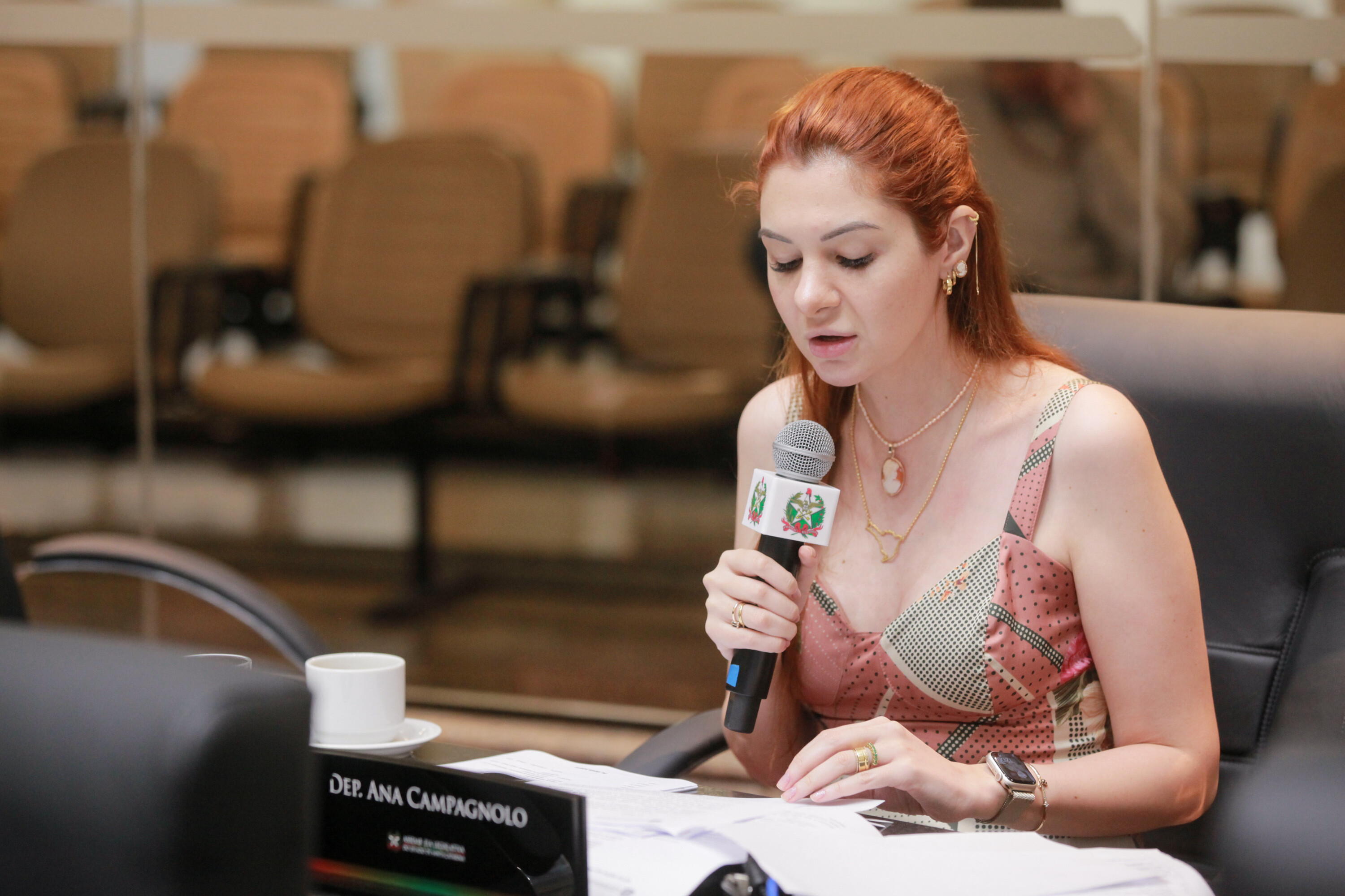 Deputada Ana Campagnolo (PL) se manifestou sobre informações relativas aos protestos ocorridos em Brasília no dia 8 de janeiro.