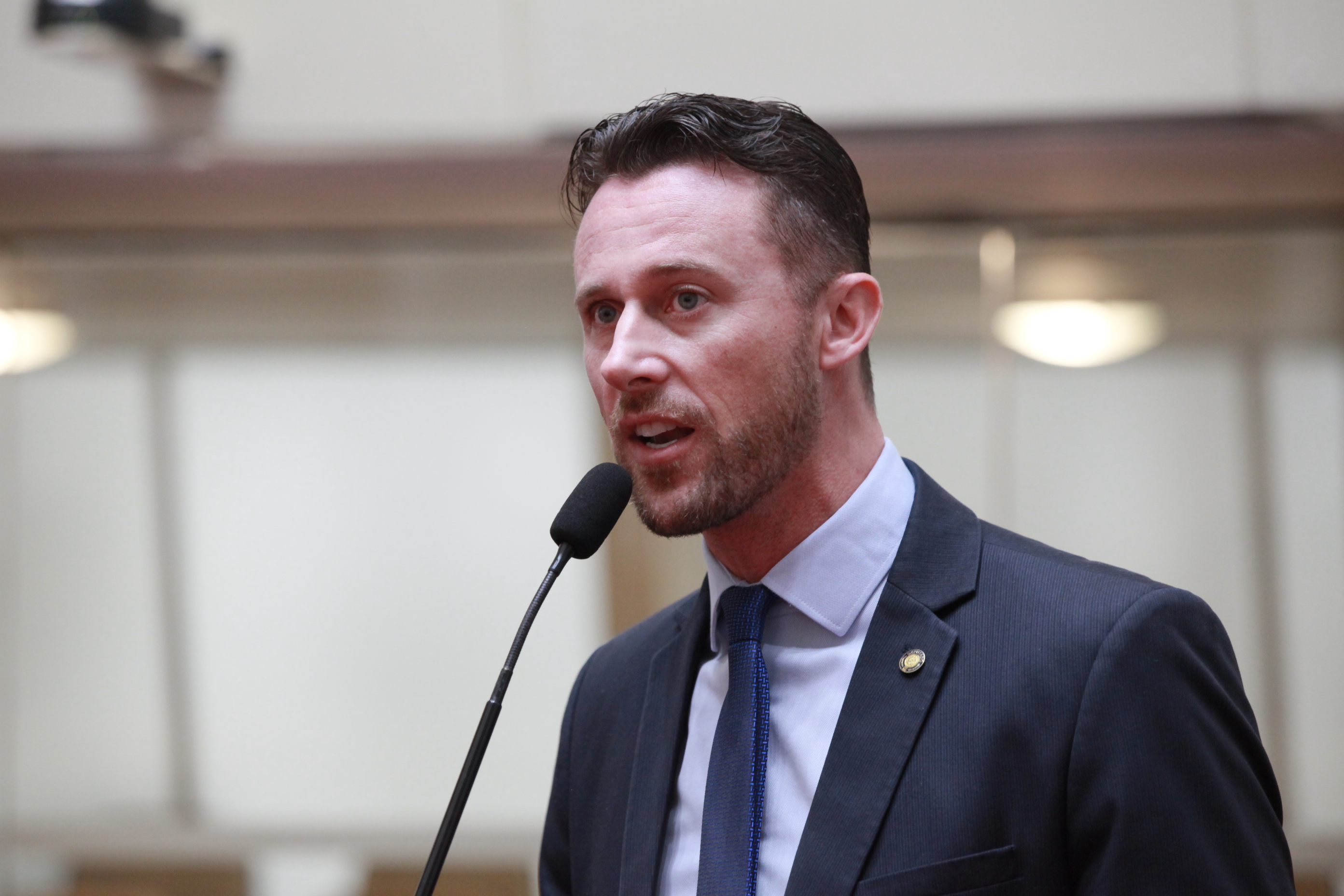 Sessão Ordinária - Deputado Fernando Krelling (MDB)