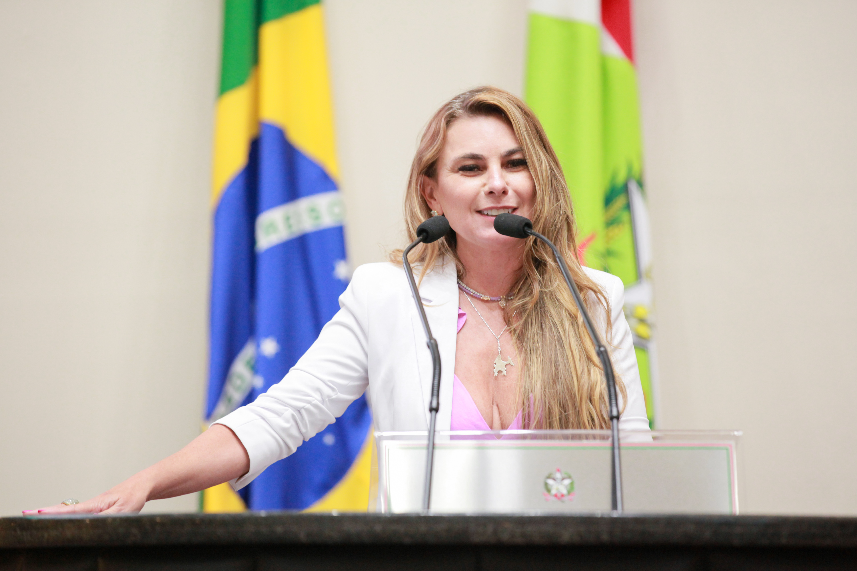 - Deputada Paulinha (Podemos)