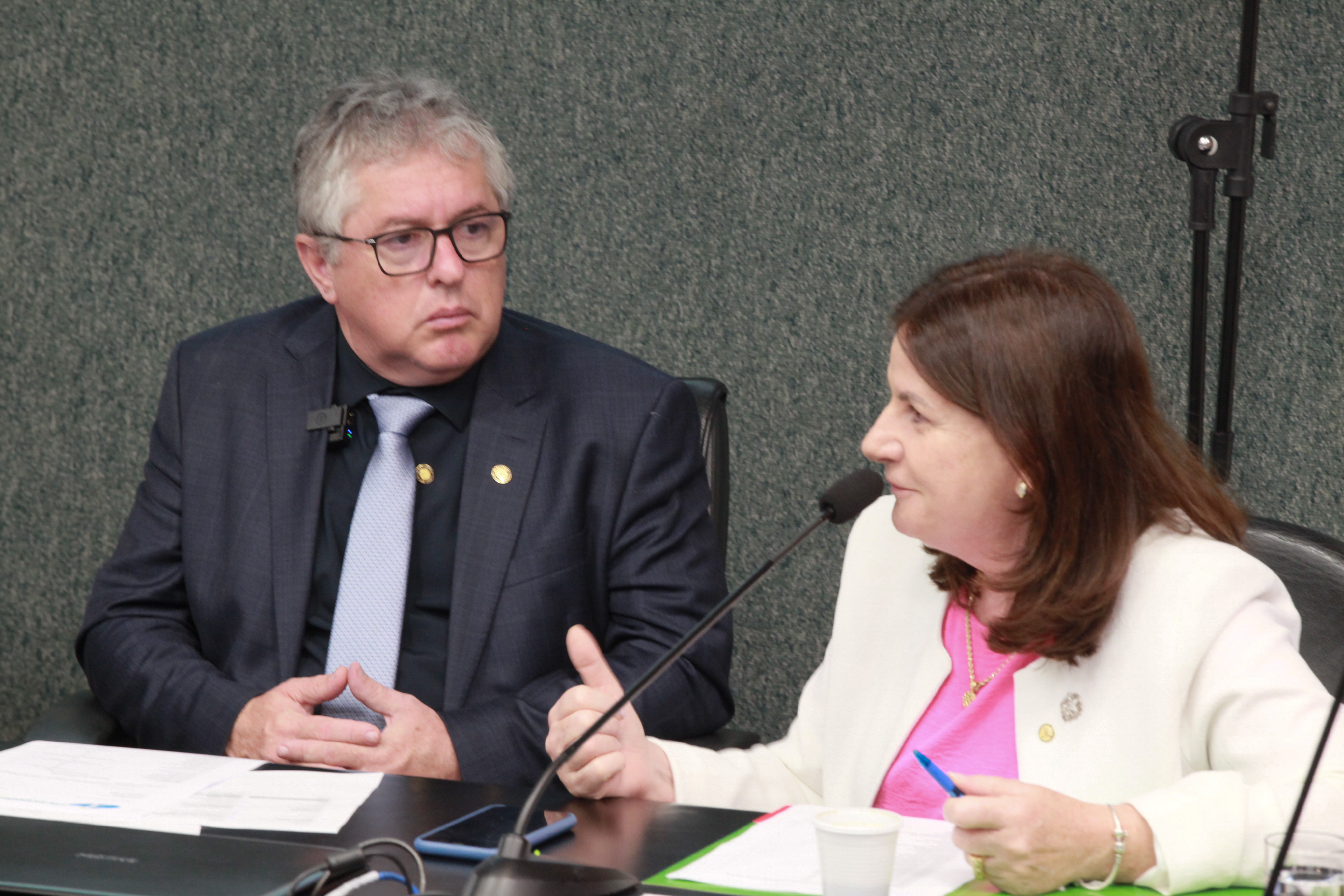 Reunião da Amesc com a Secretaria Estadual da Saúde