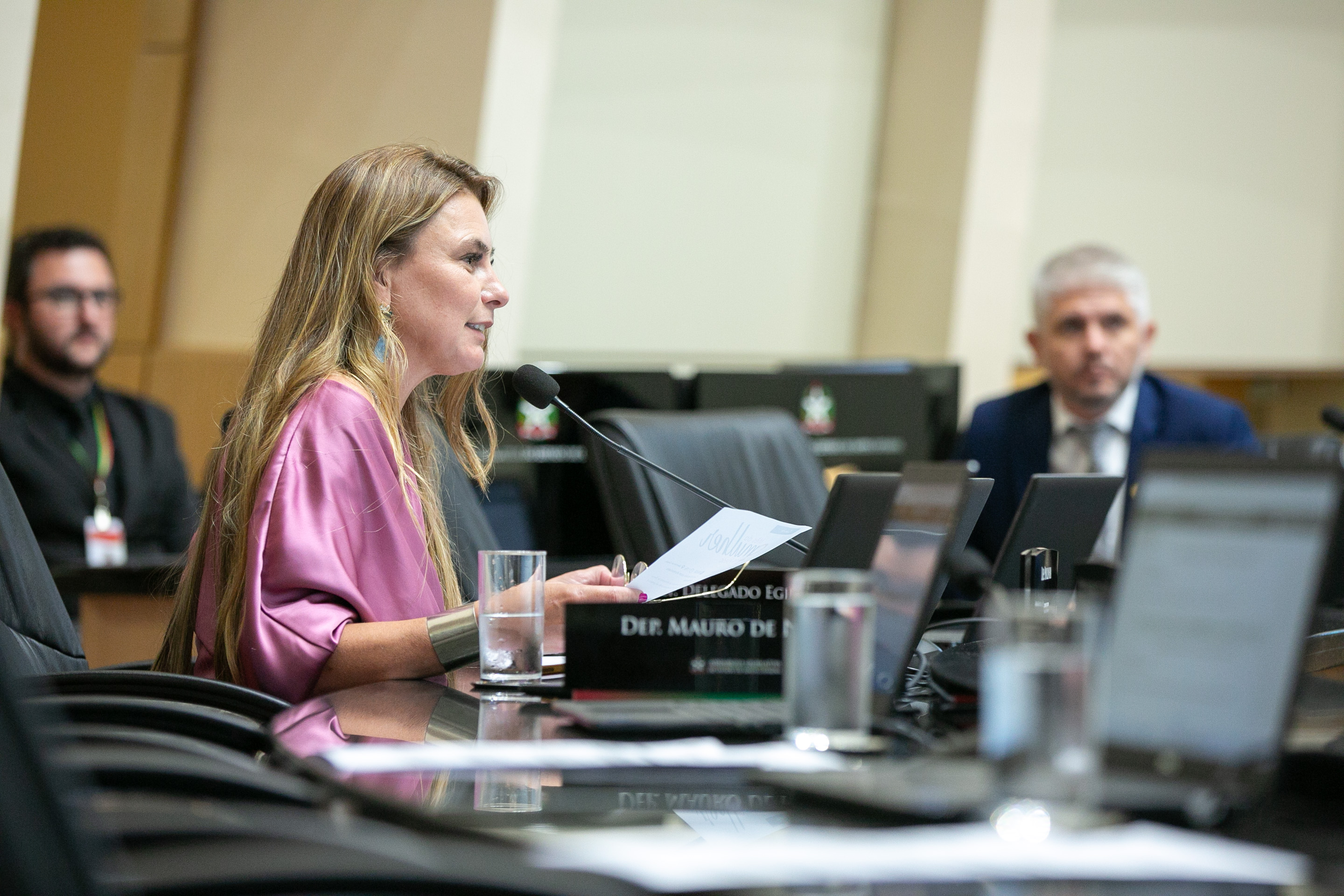 Deputada Paulinha (Podemos)