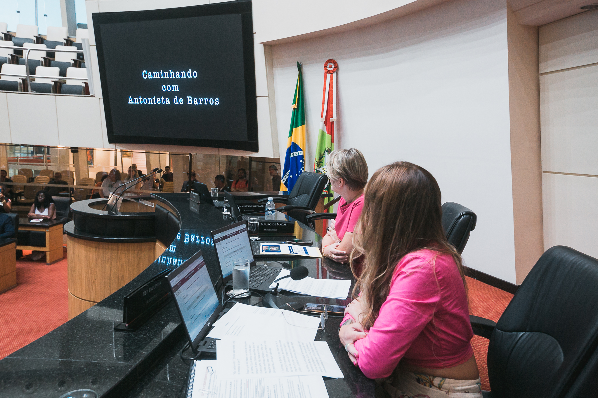 Suspensão de Sessão – Caminhando com Antonieta de Barros – Mês da Mulher na Alesc