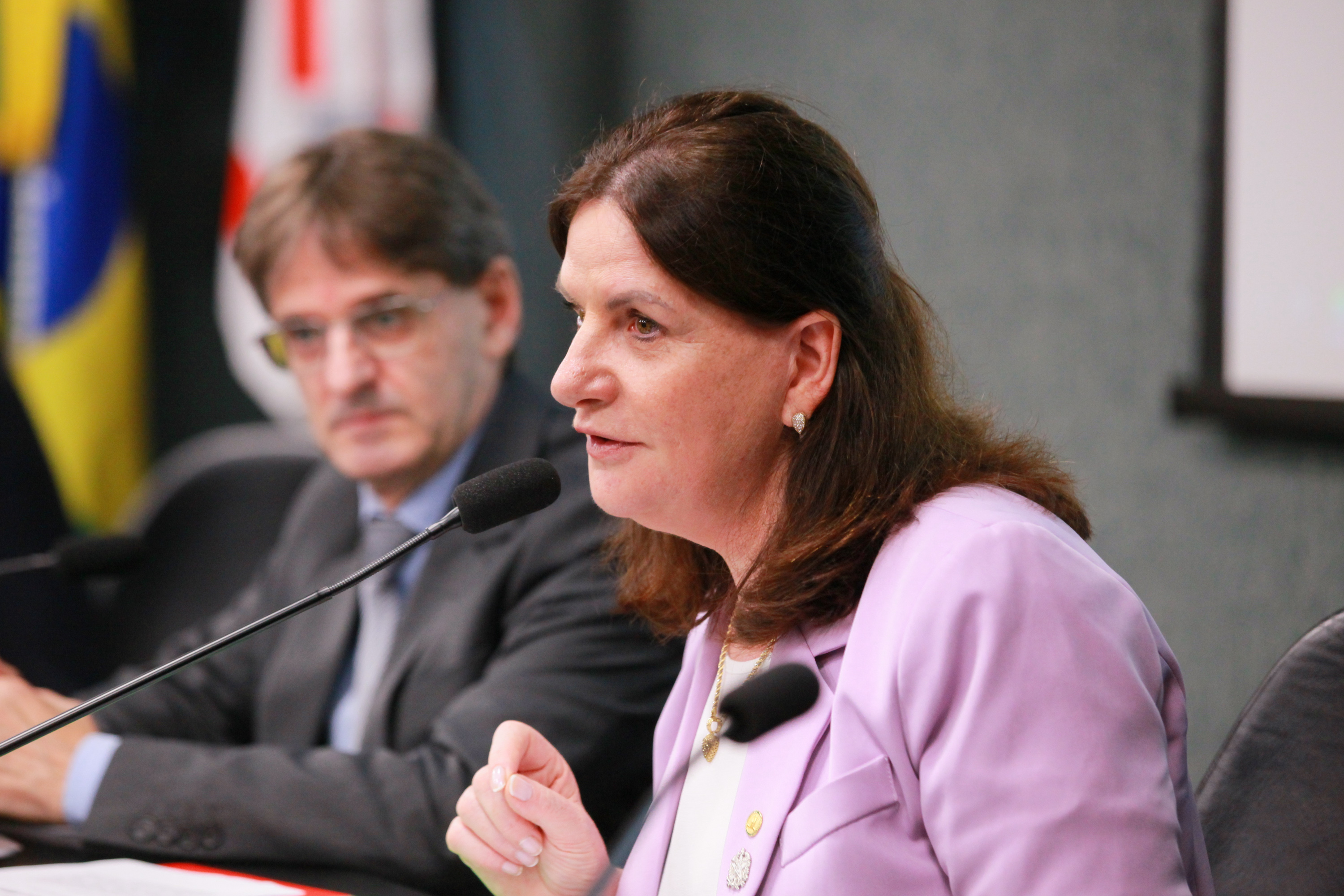 Carmen Zanotto, Secretária de Estado da Saúde