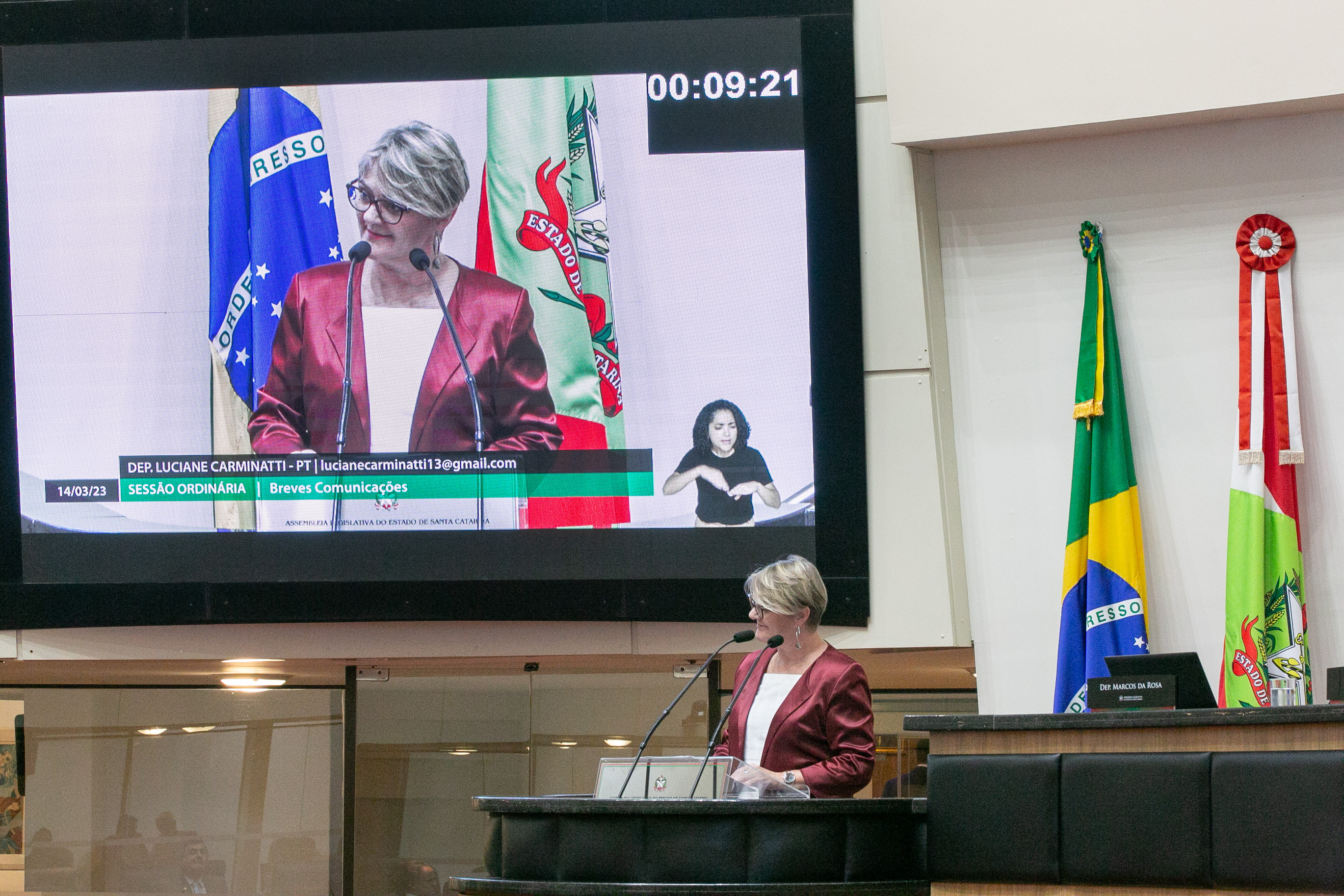 Deputada Luciane Carminatti (PT)