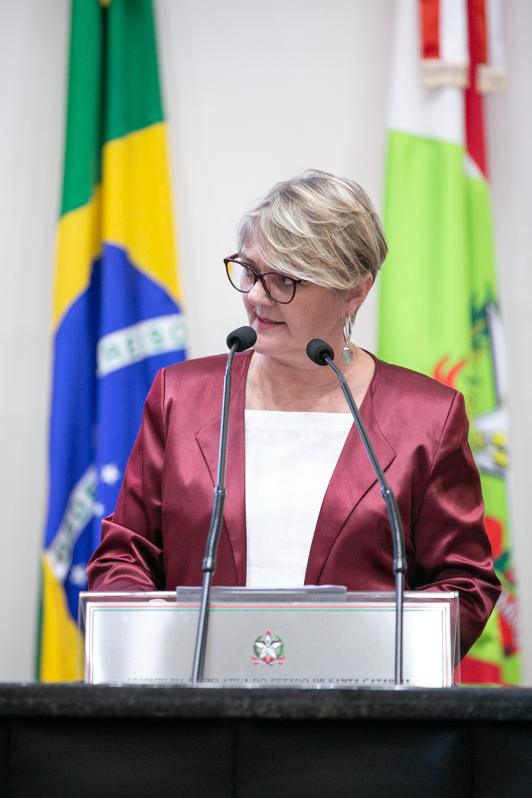 Deputada Luciane Carminatti (PT)
