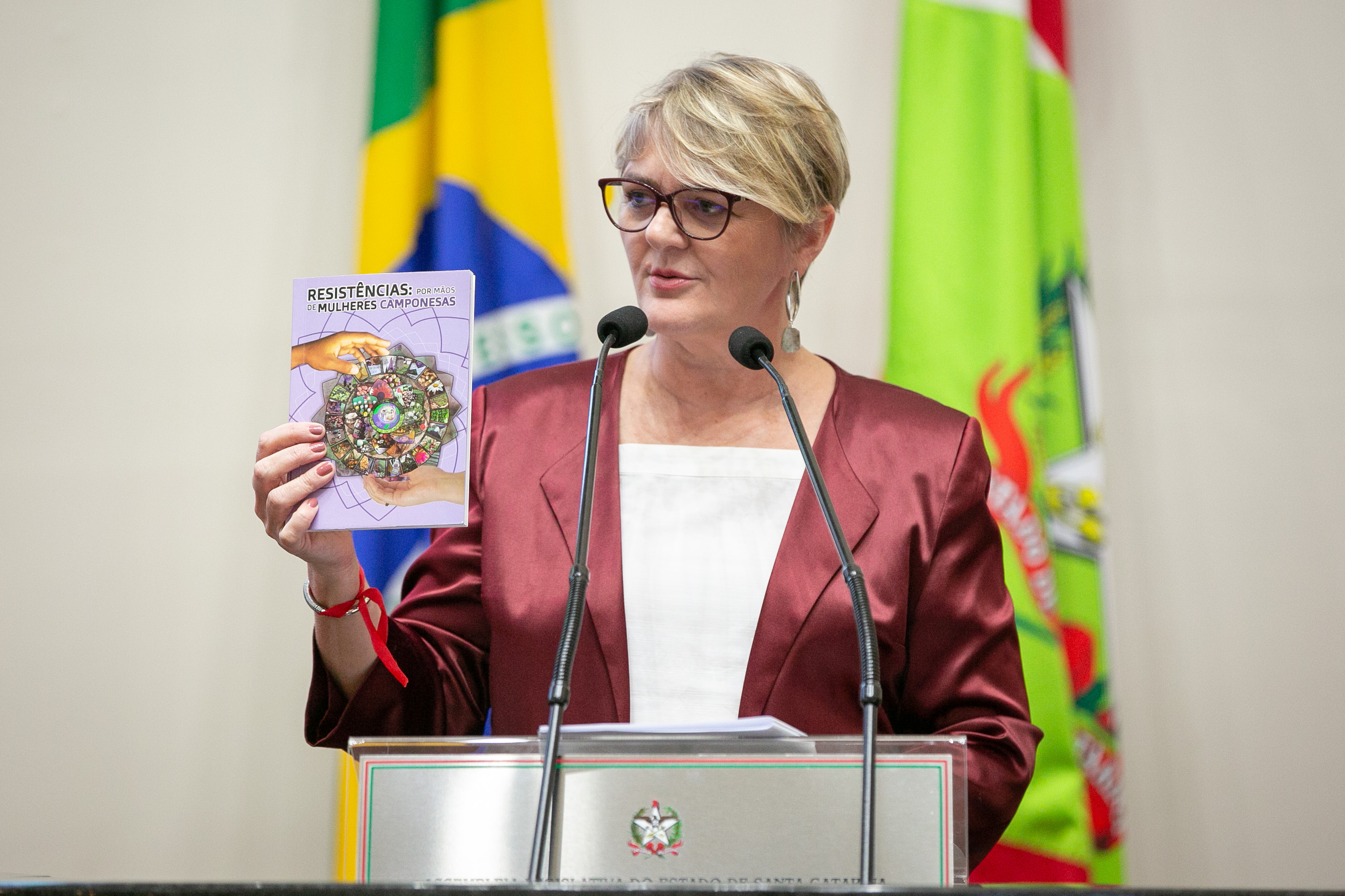 Deputada Luciane Carminatti (PT)