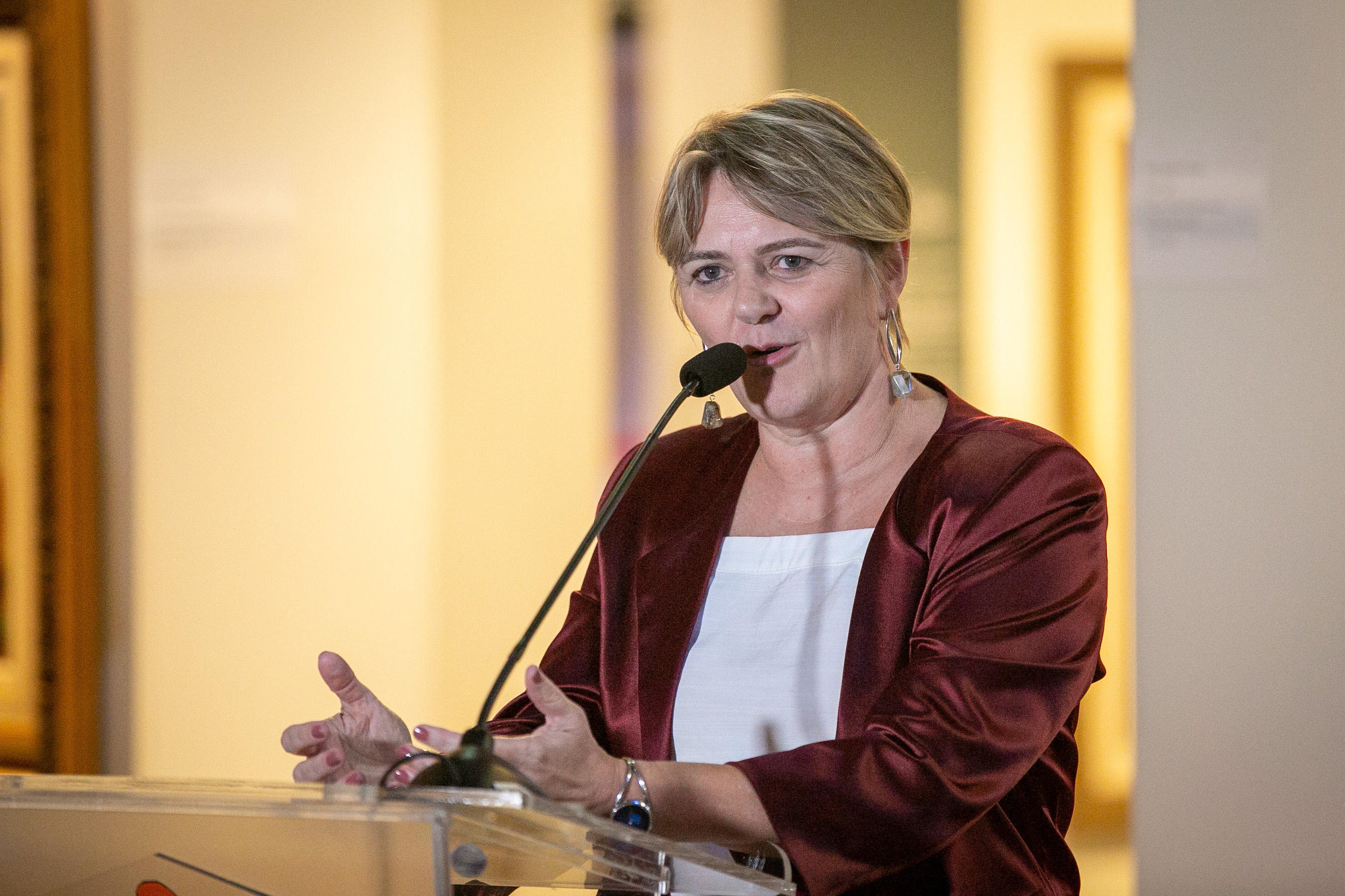 Deputada Luciane Carminatti (PT)
