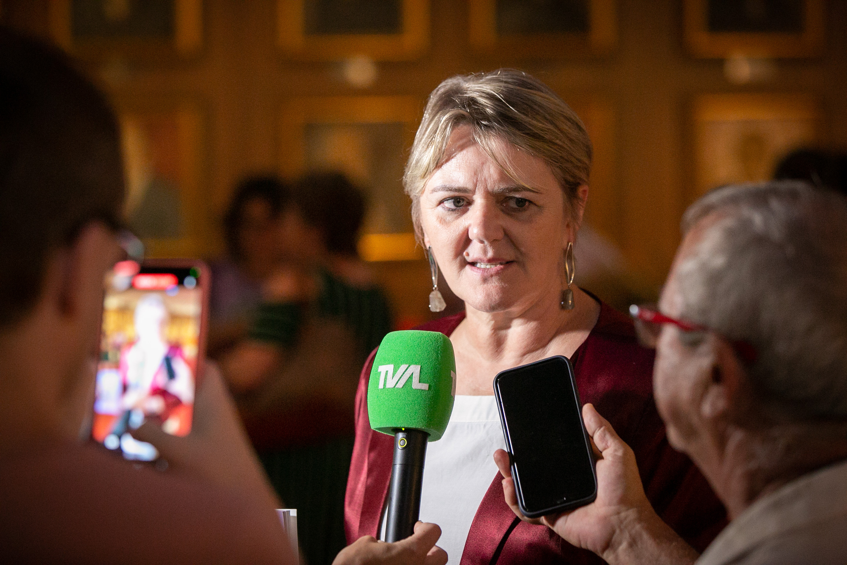 Deputada Luciane Carminatti (PT)