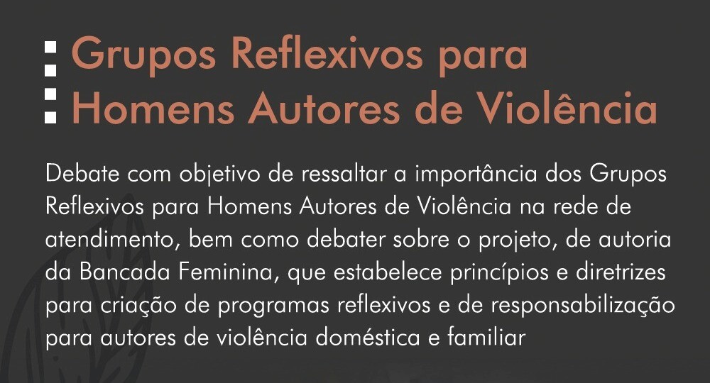 Paulinha participa de debate dos grupos reflexivos para homens autores de violência