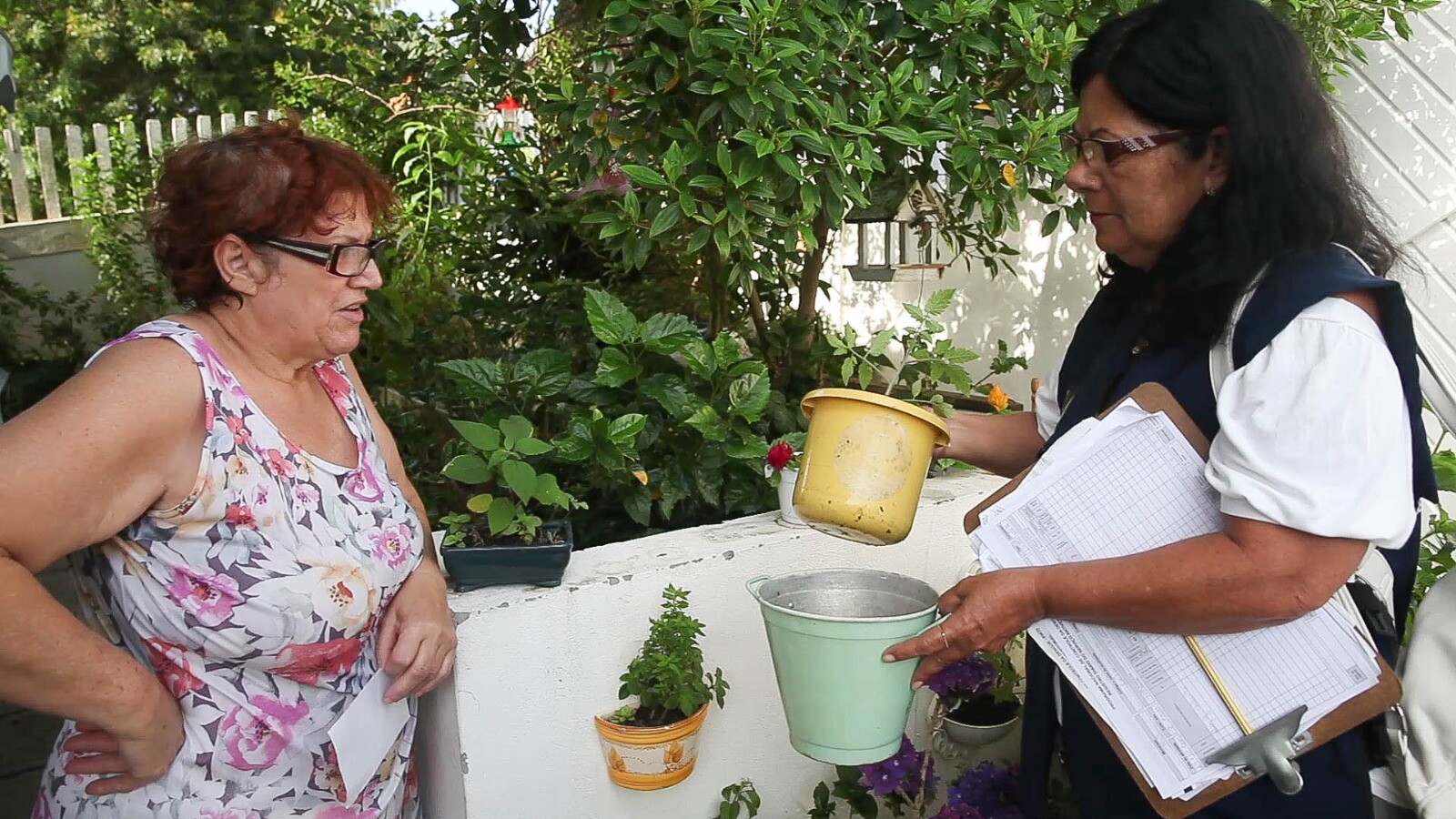 Alesc contribui para o combate à epidemia de dengue em SC