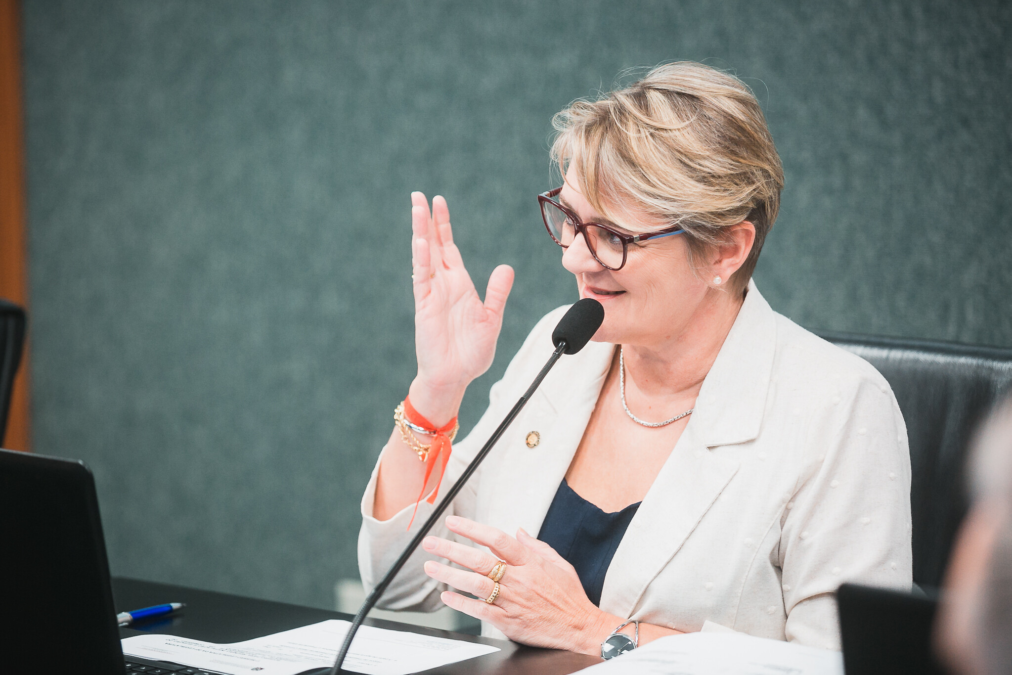 Deputada Luciane Carminatti