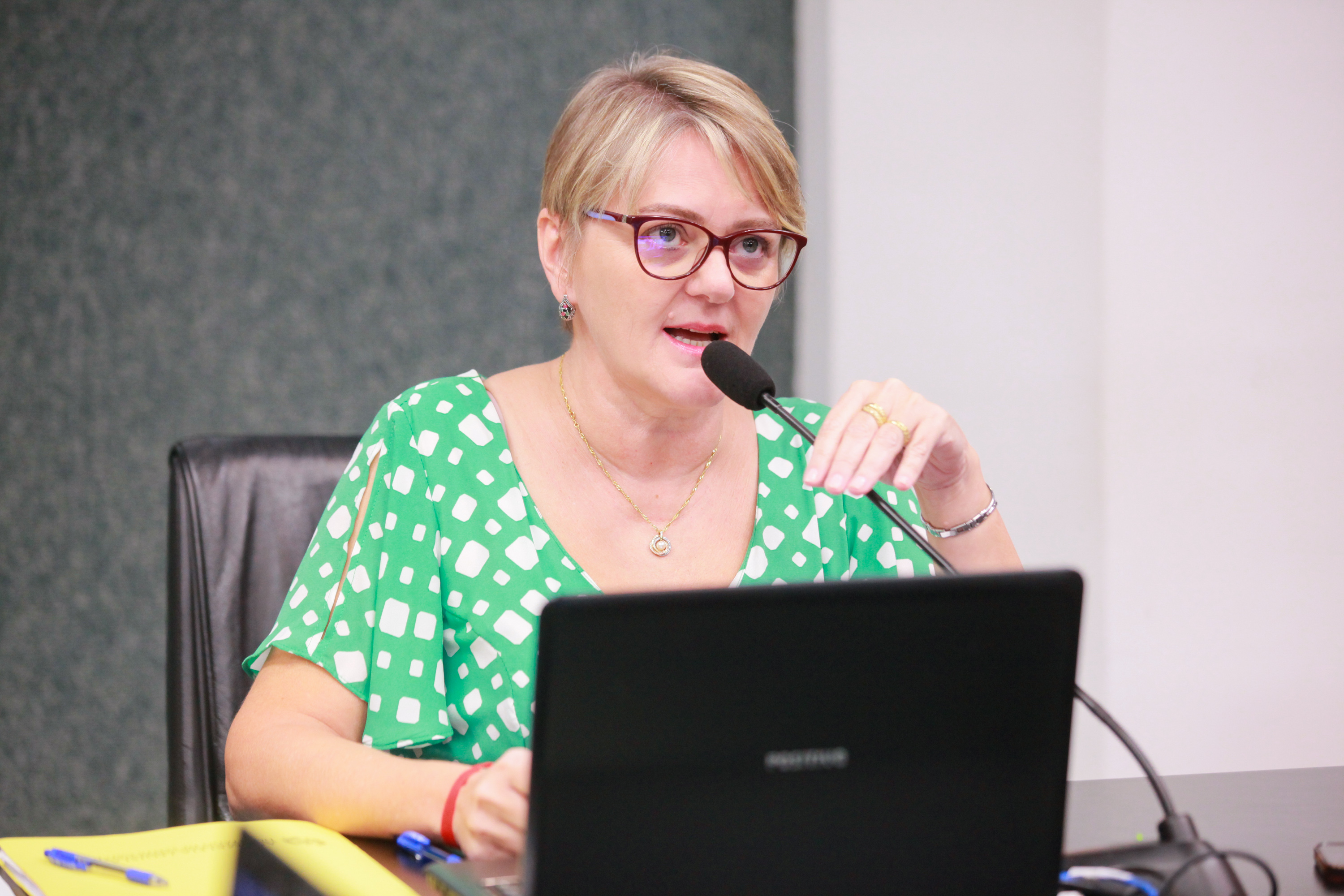 - Deputada Luciane Carminatti (PT)