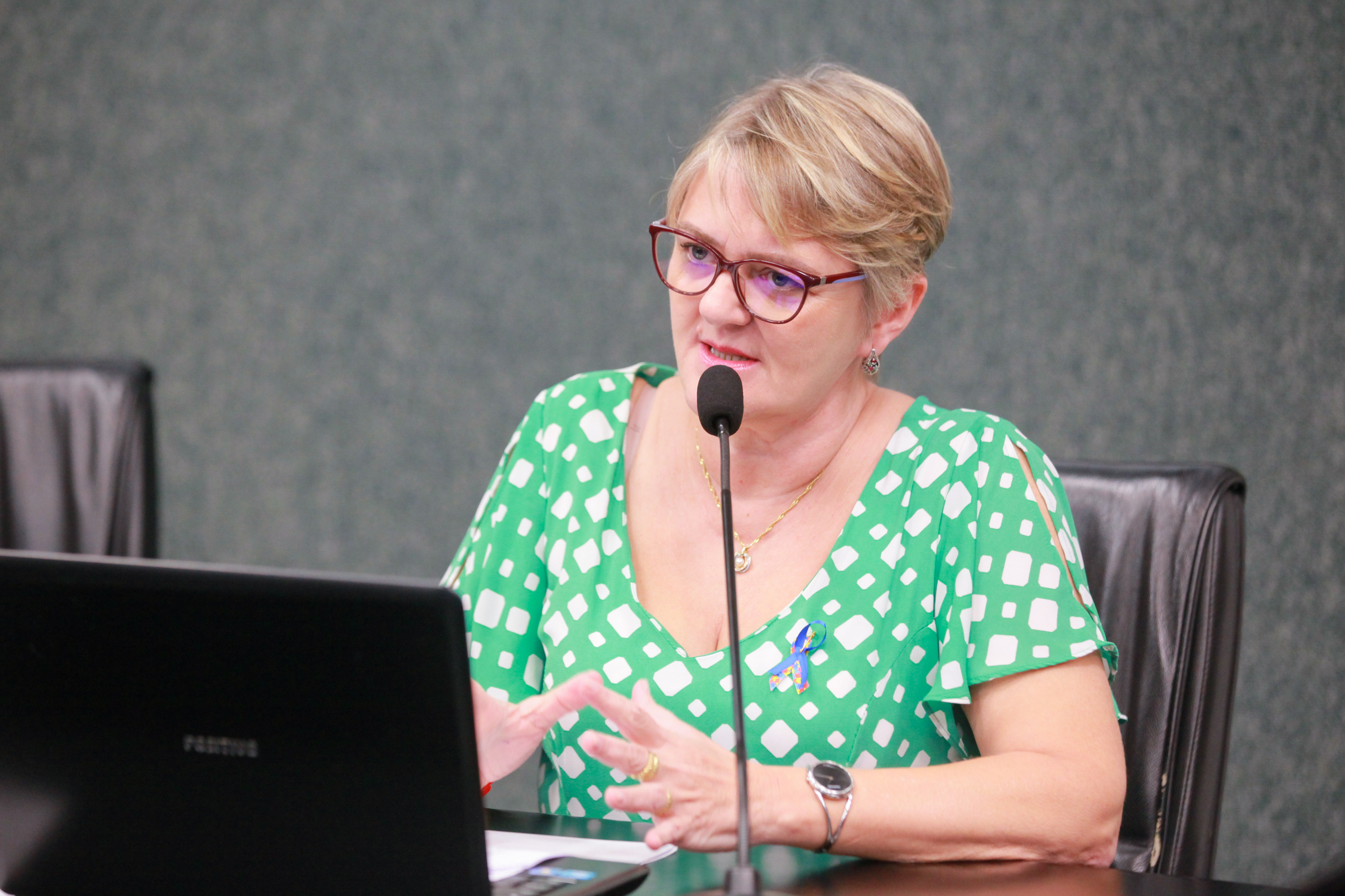 - Deputada Luciane Carminatti (PT)