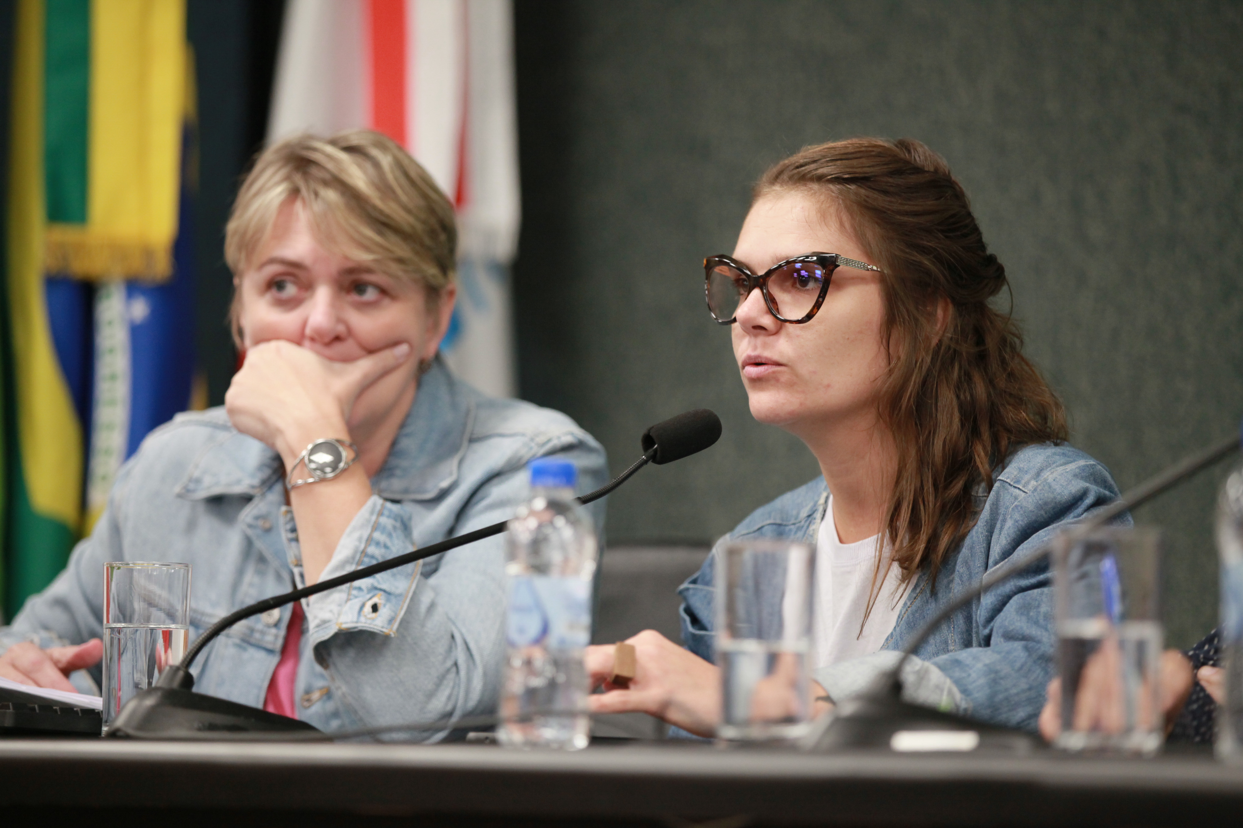 Audiência Pública Lei Paulo Gustavo - Rafaela Katarina Kinas