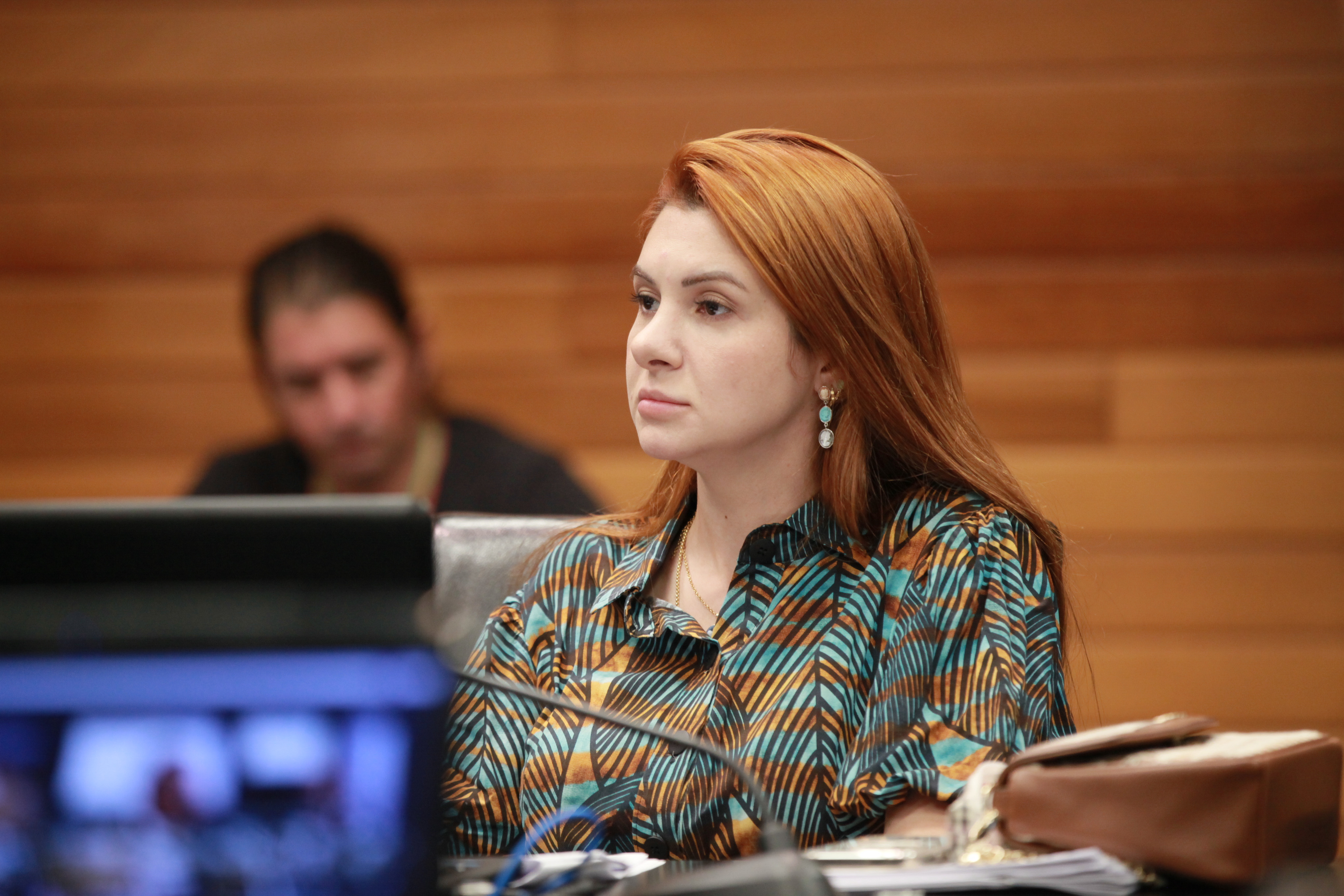 Comissão de Constituição e Justiça - Deputada Ana Campagnolo (PL)
