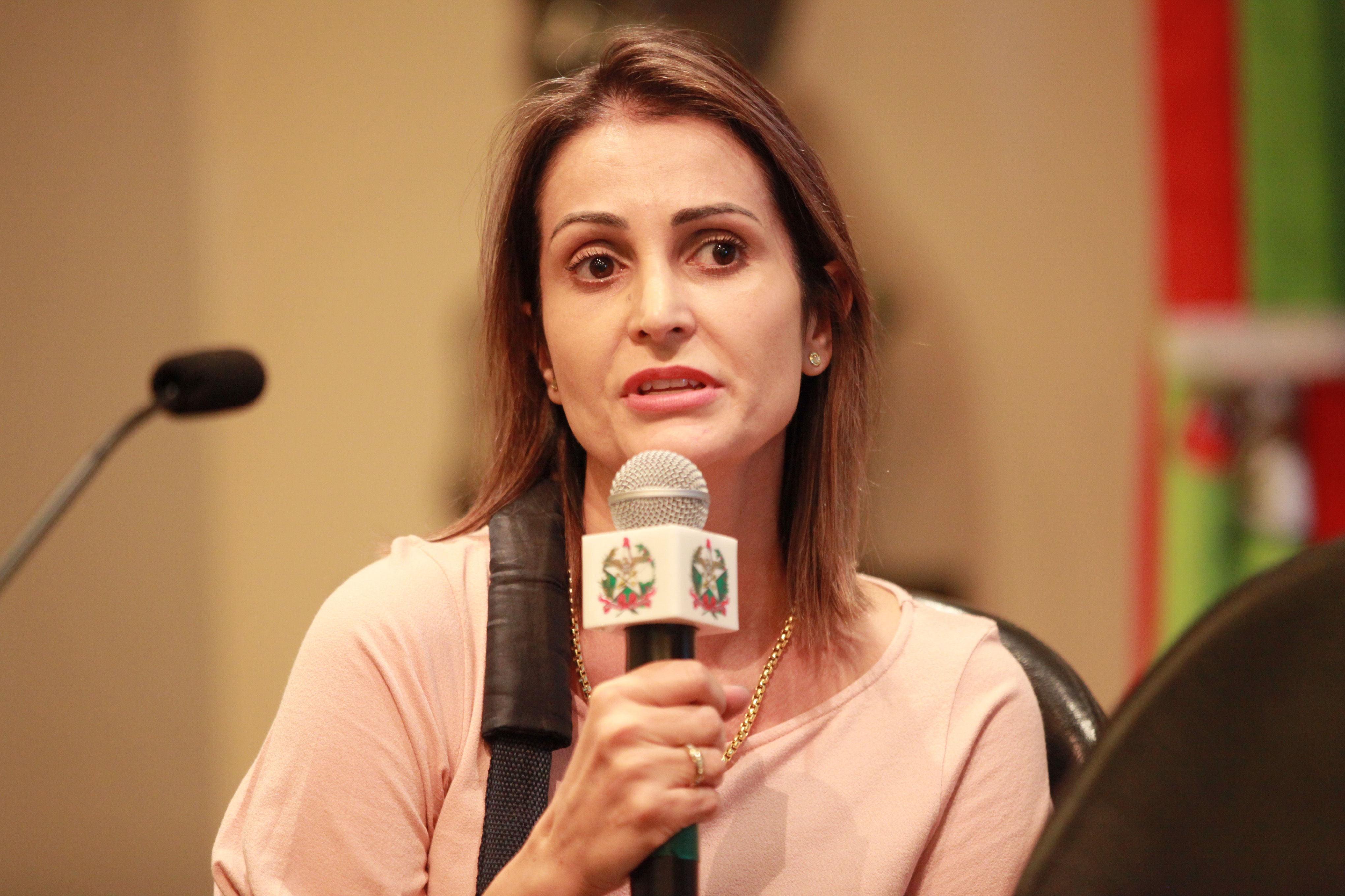 Fórum Metropolitano das Micro e Pequenas Empresas - Juliana Demark 9Fecan)