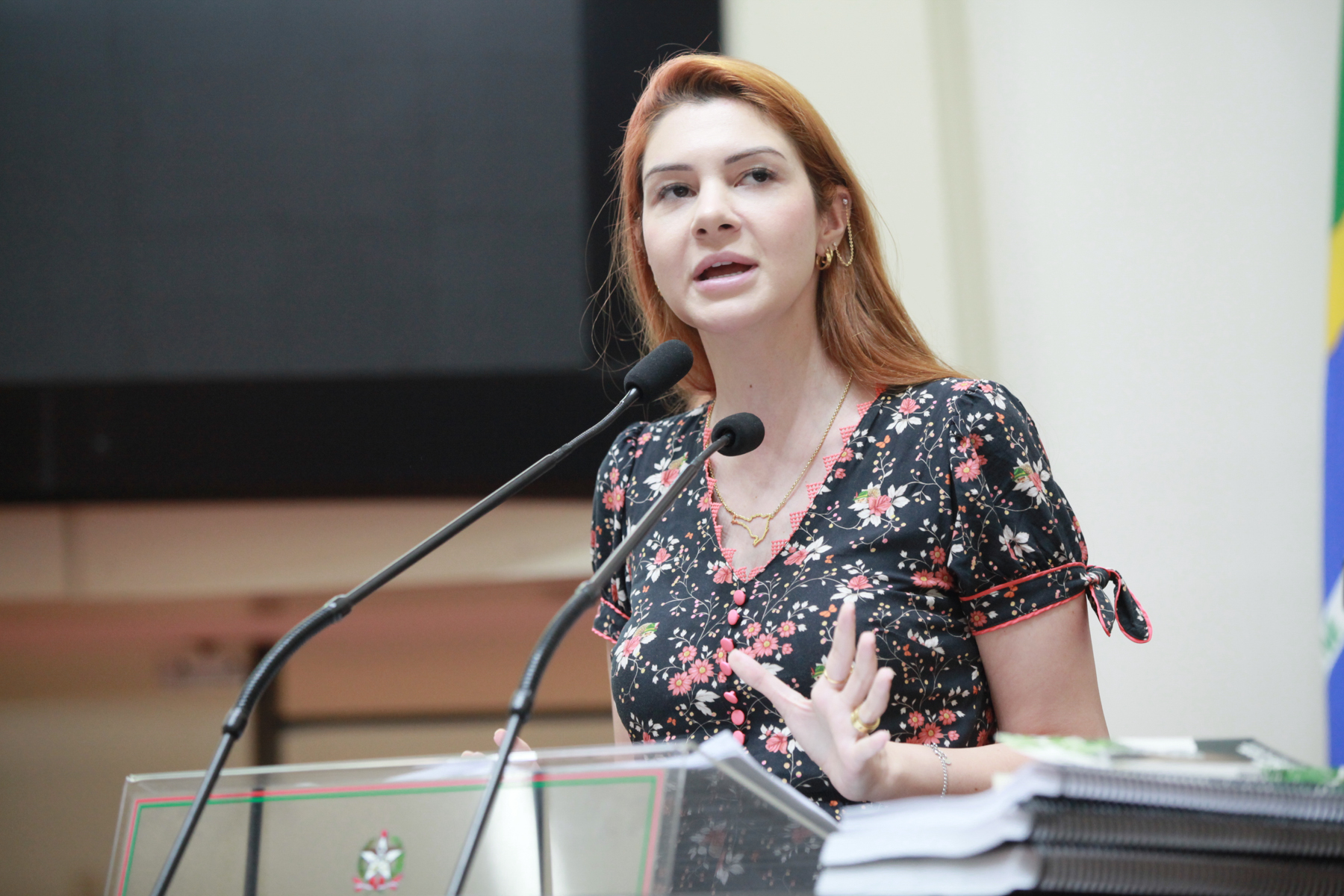 Sessão Ordinária - Deputada Ana Caroline Campagnolo (PL)