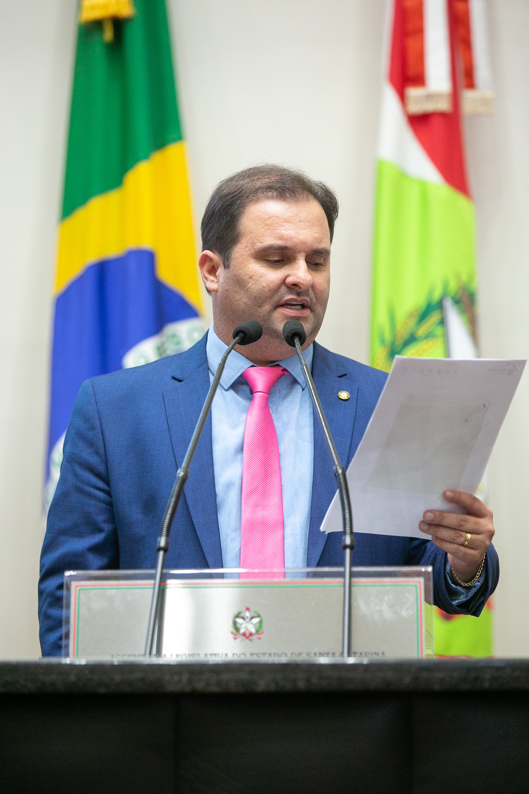 Deputado Repórter Sérgio Guimarães (União)