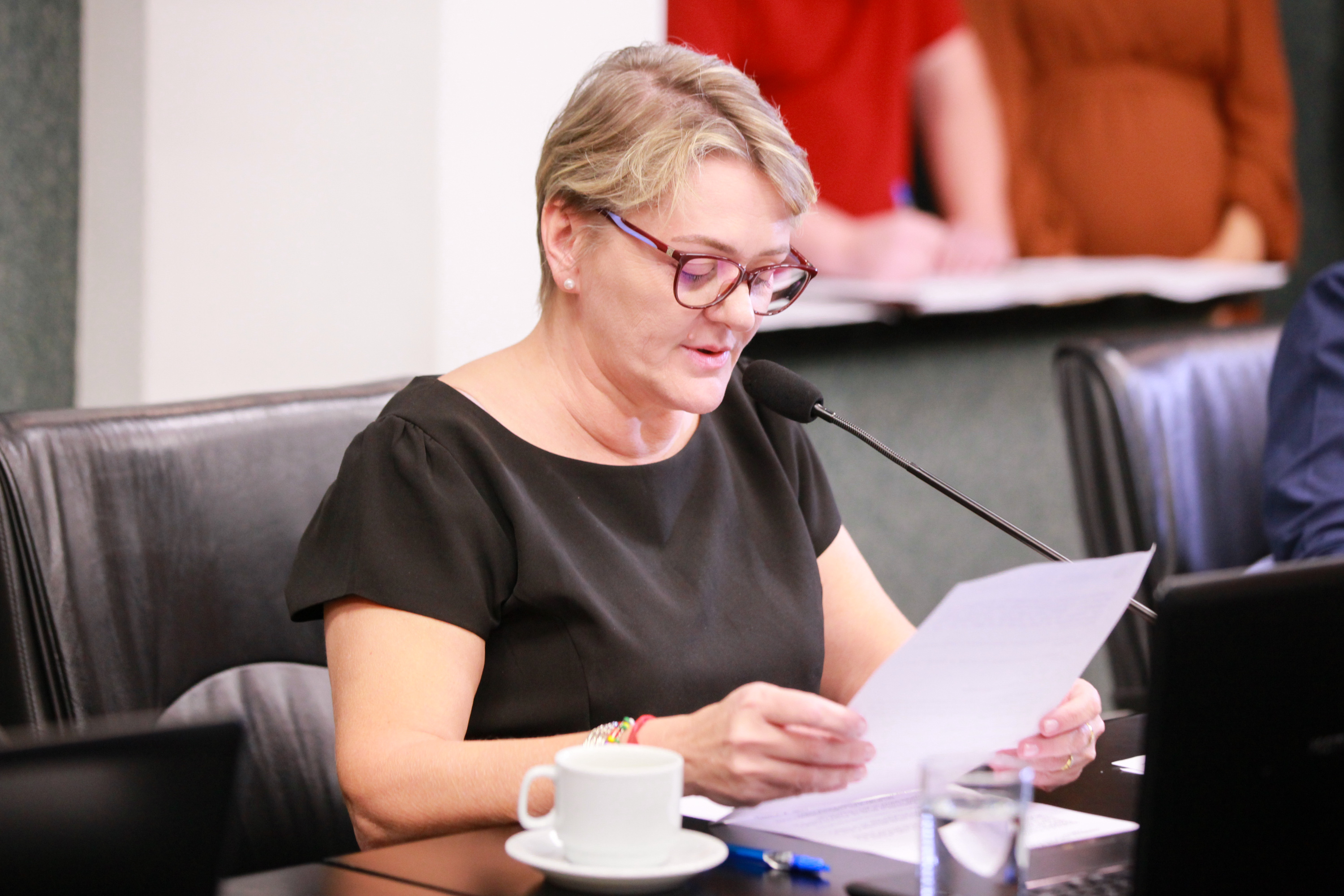 - Deputada Luciane Carminatti (PT)