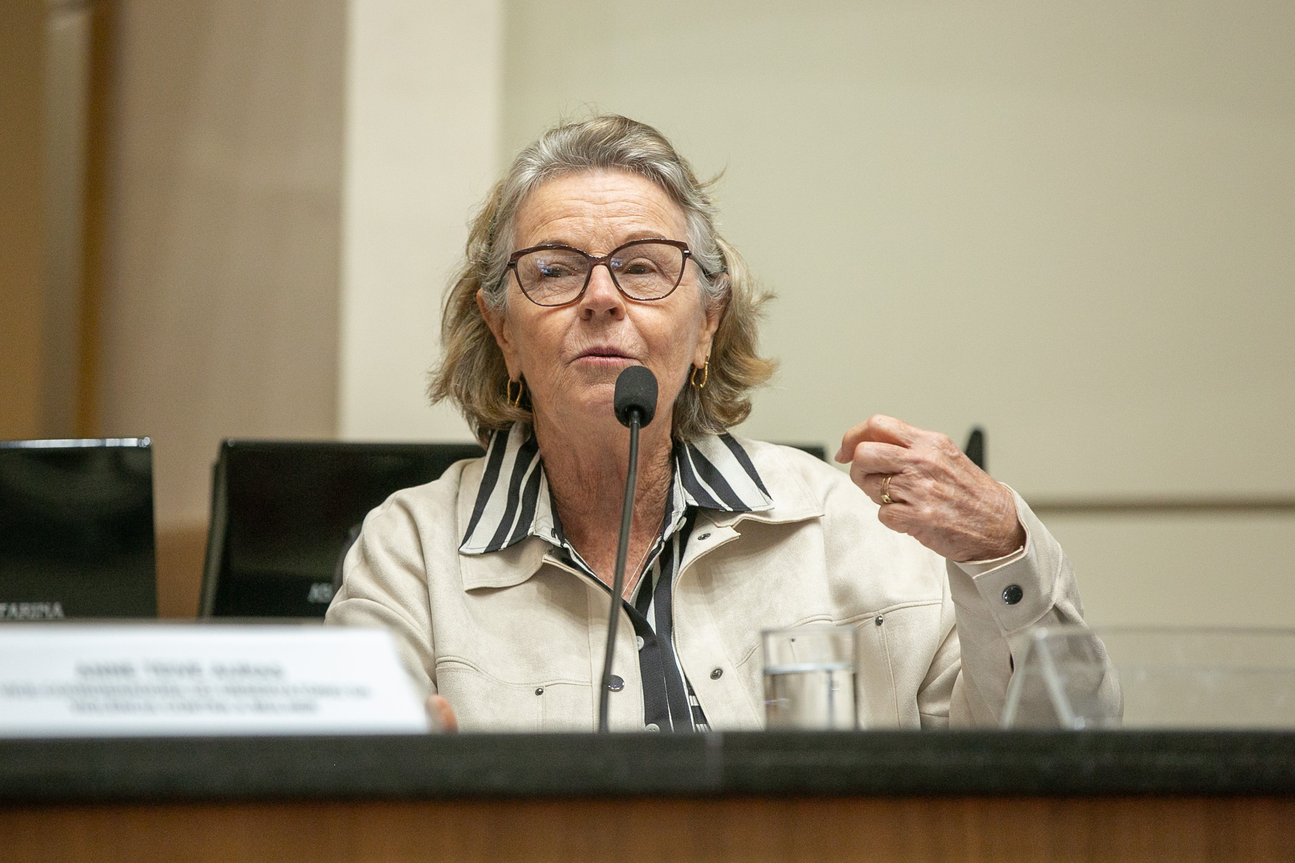 Secretária de Estado de Assistência Social Alice Kuerten