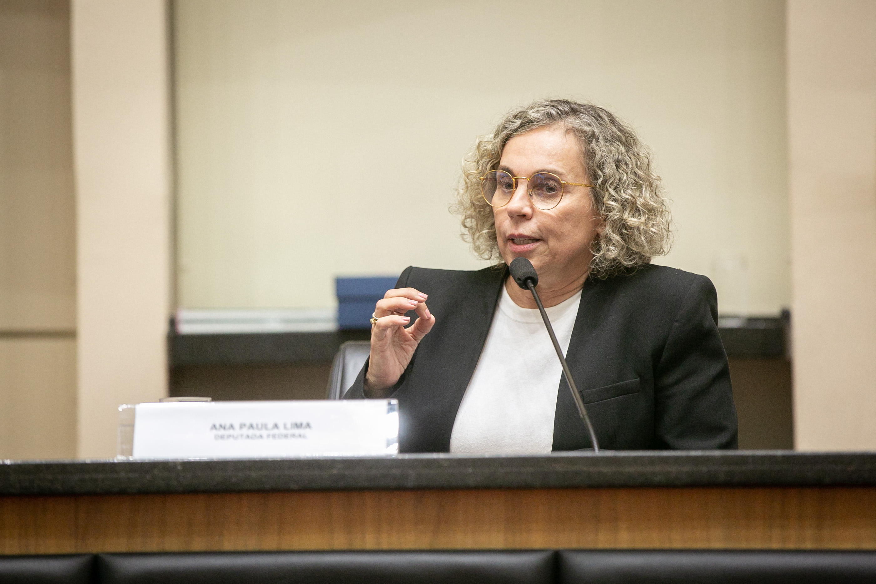 Deputada Federal, Ana Paula Lima