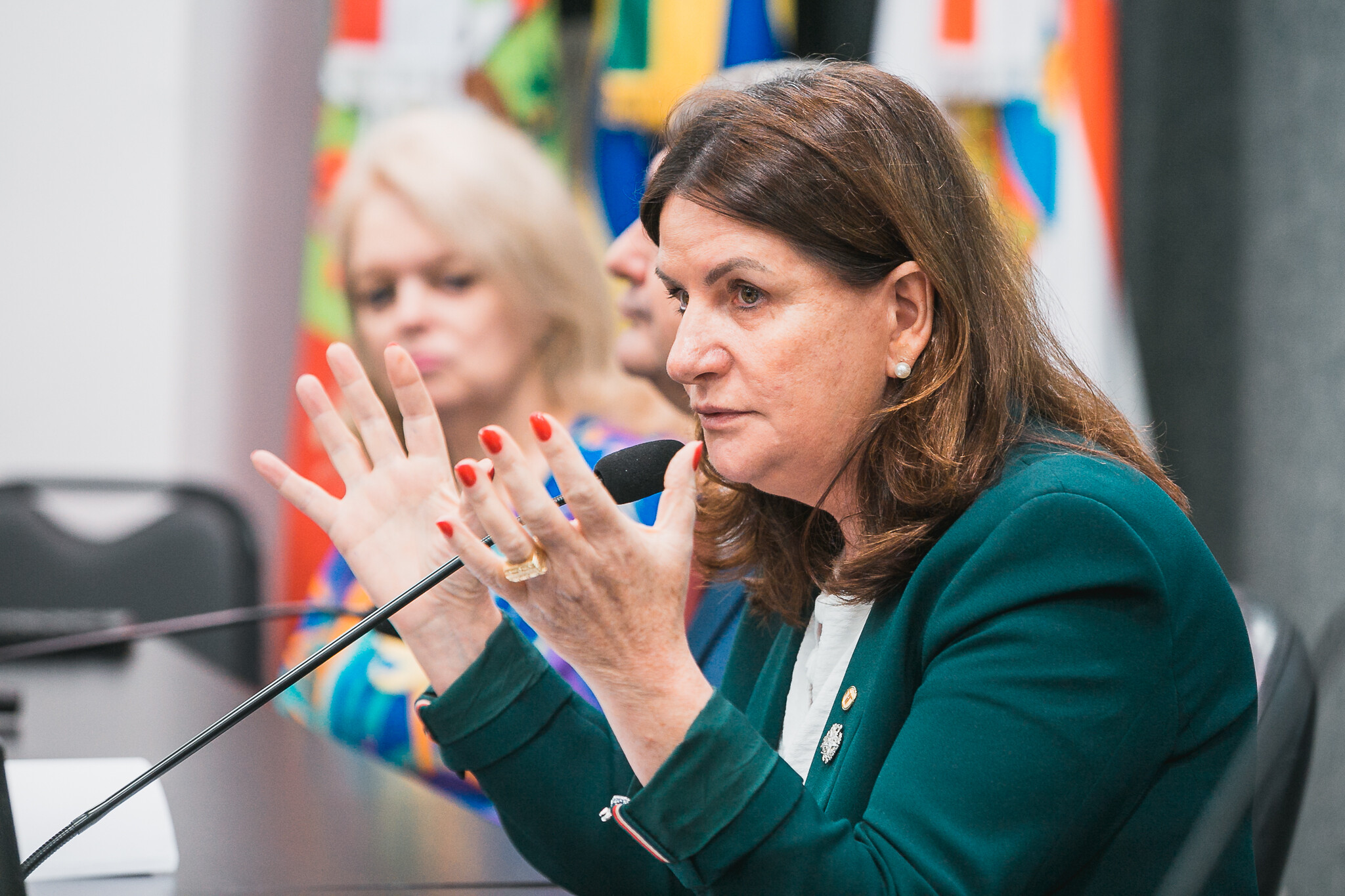 Secretária de Estado da Saúde, Carmen Zanotto