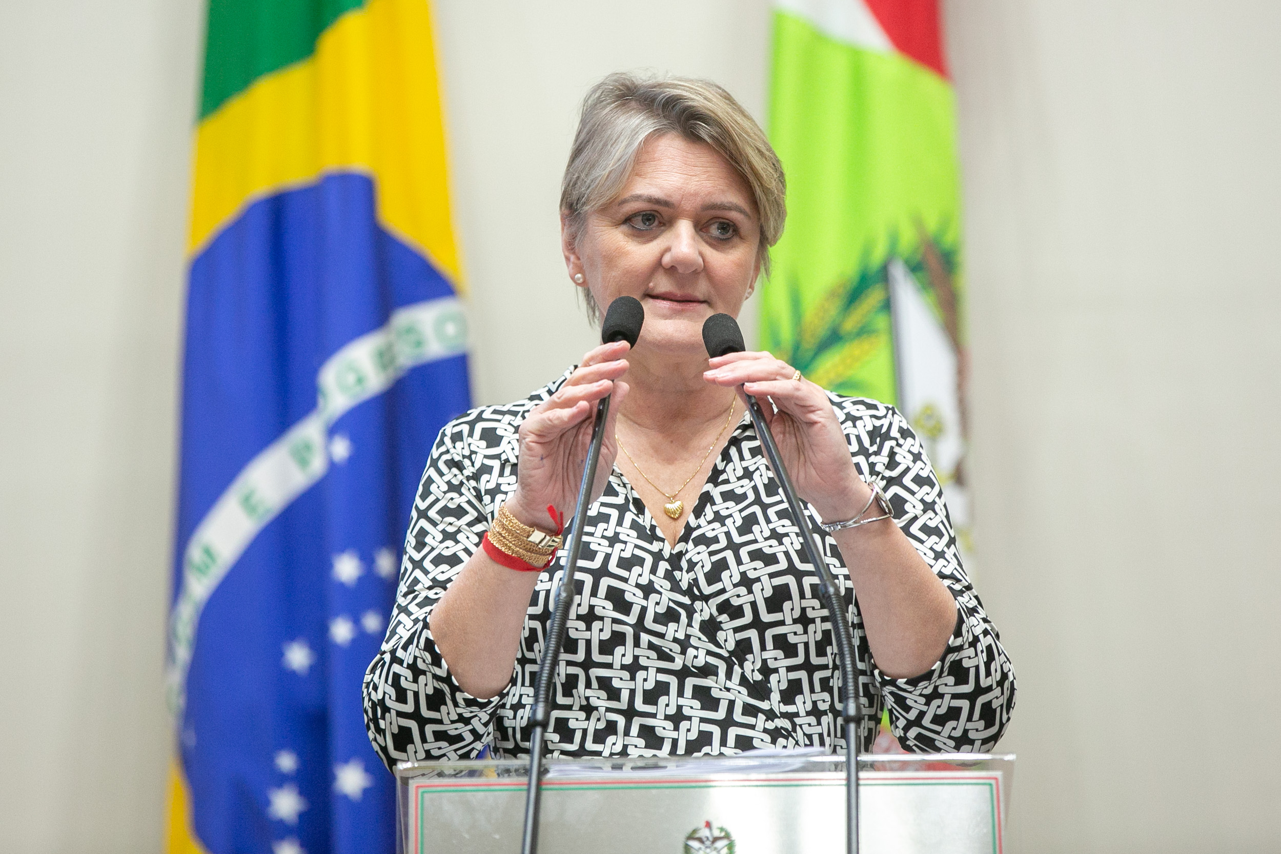Deputada Luciane Carminatti (PT)