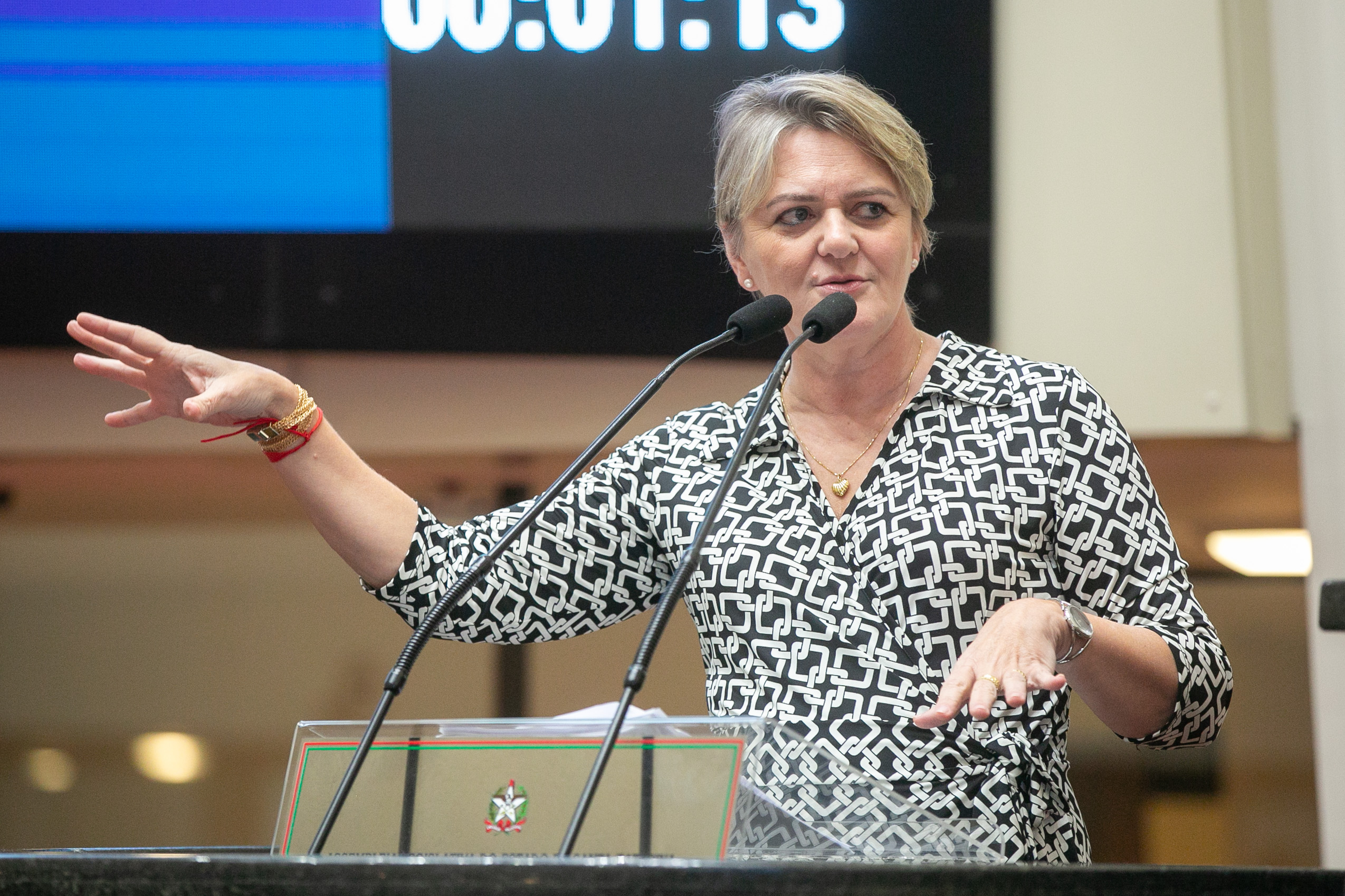 Deputada Luciane Carminatti (PT)