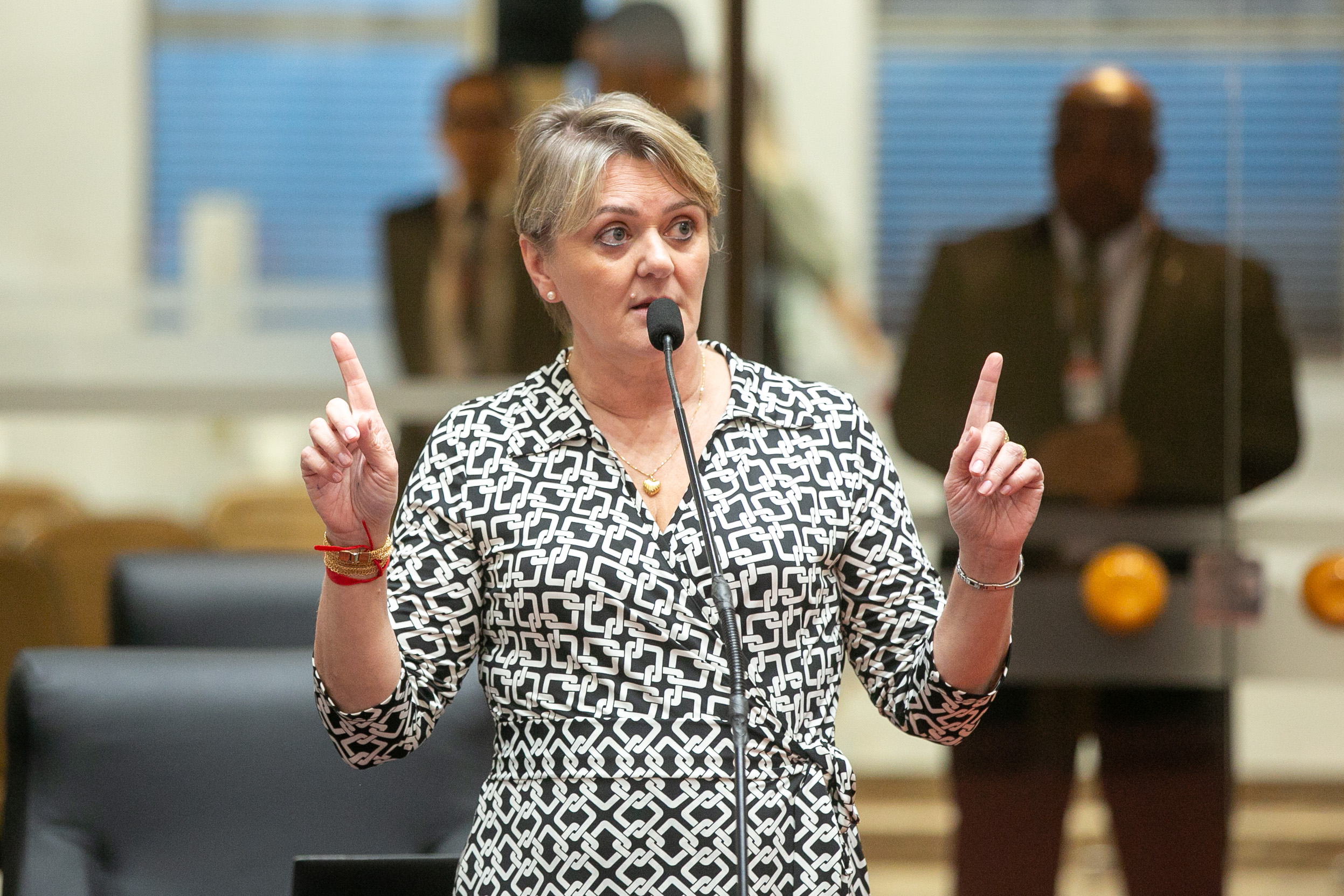 Deputada Luciane Carminatti (PT)