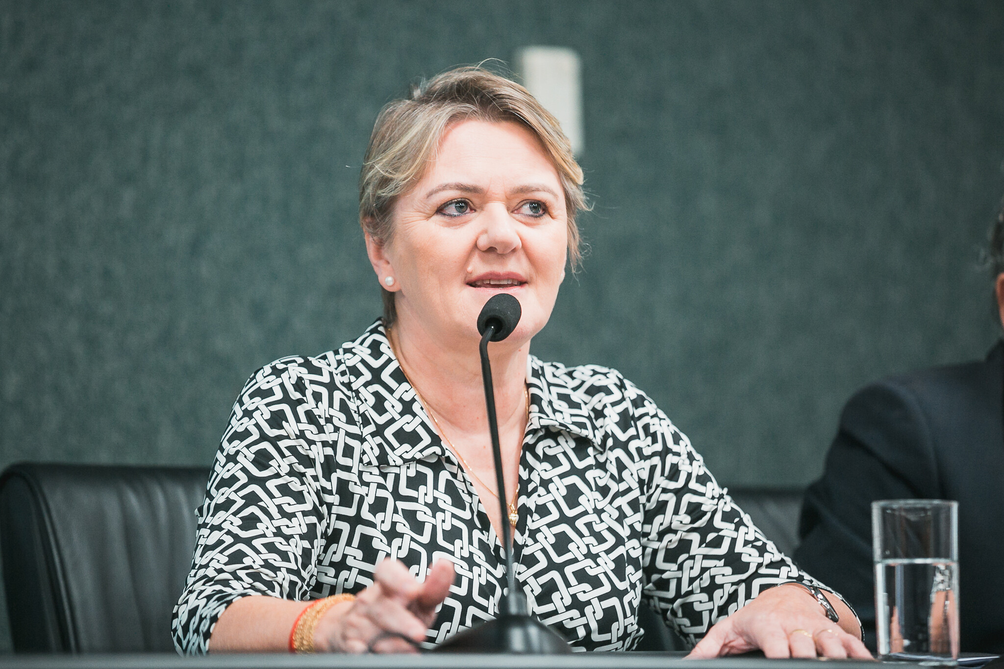 Deputada Luciane Carminatti
