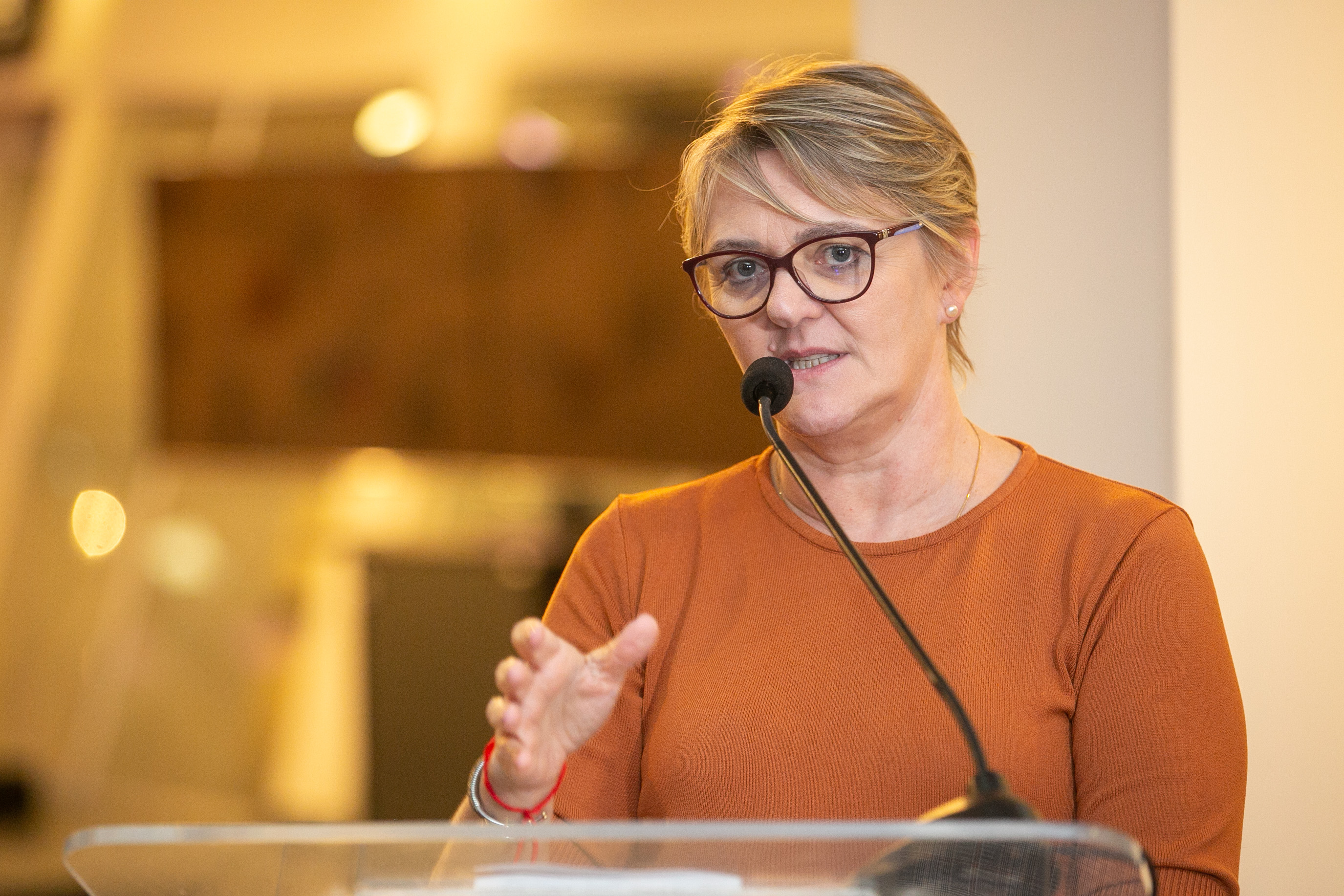Deputada Luciane Carminatti (PT)