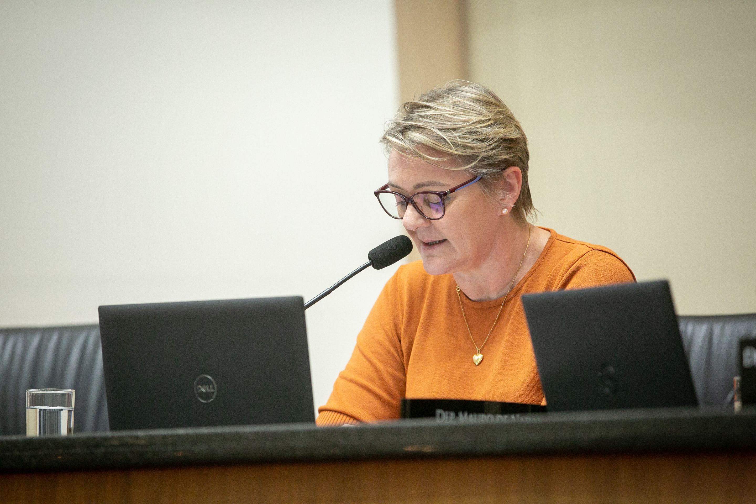 Deputada Luciane Carminatti (PT)