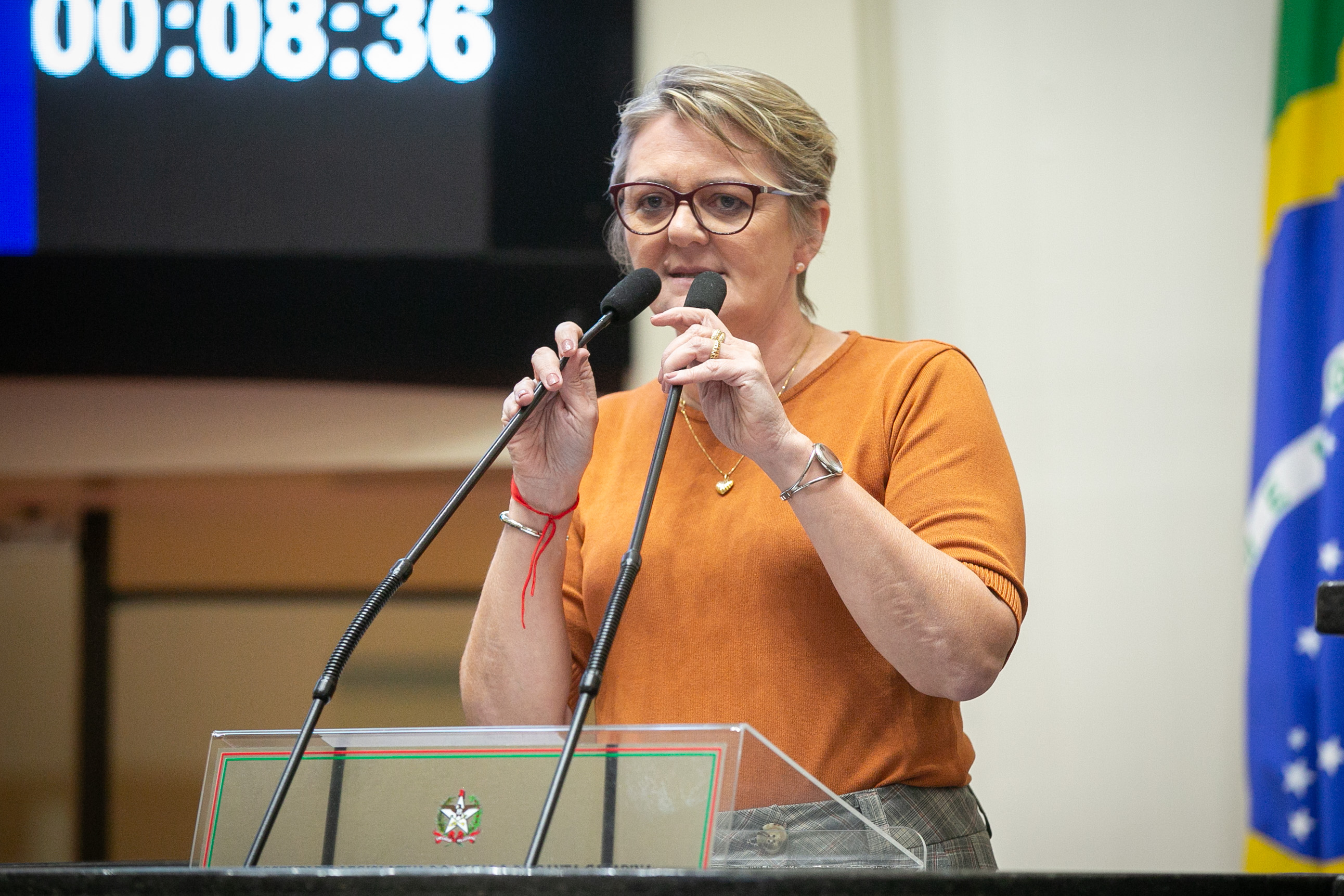 Deputada Luciane Carminatti (PT)