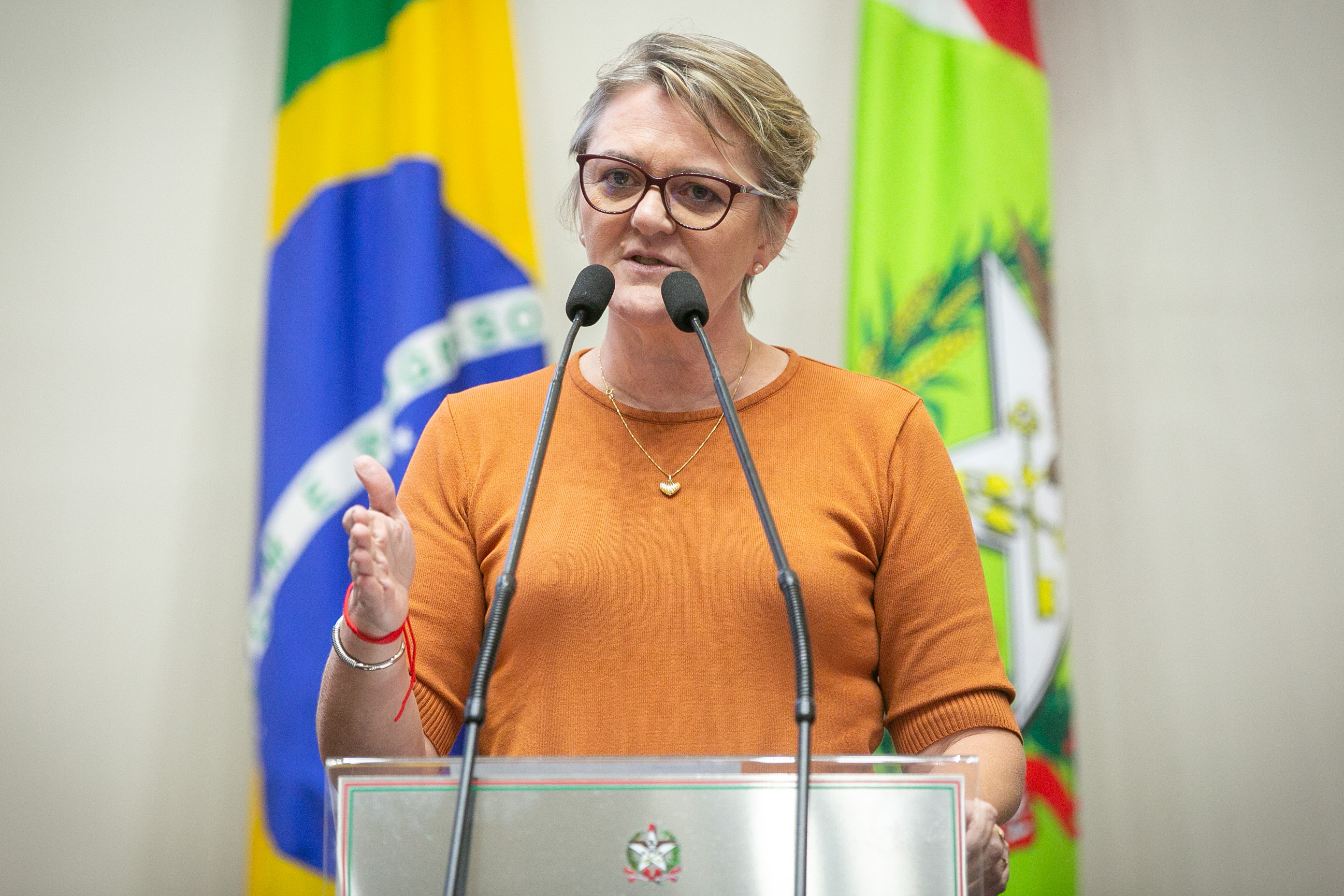 Deputada Luciane Carminatti (PT)