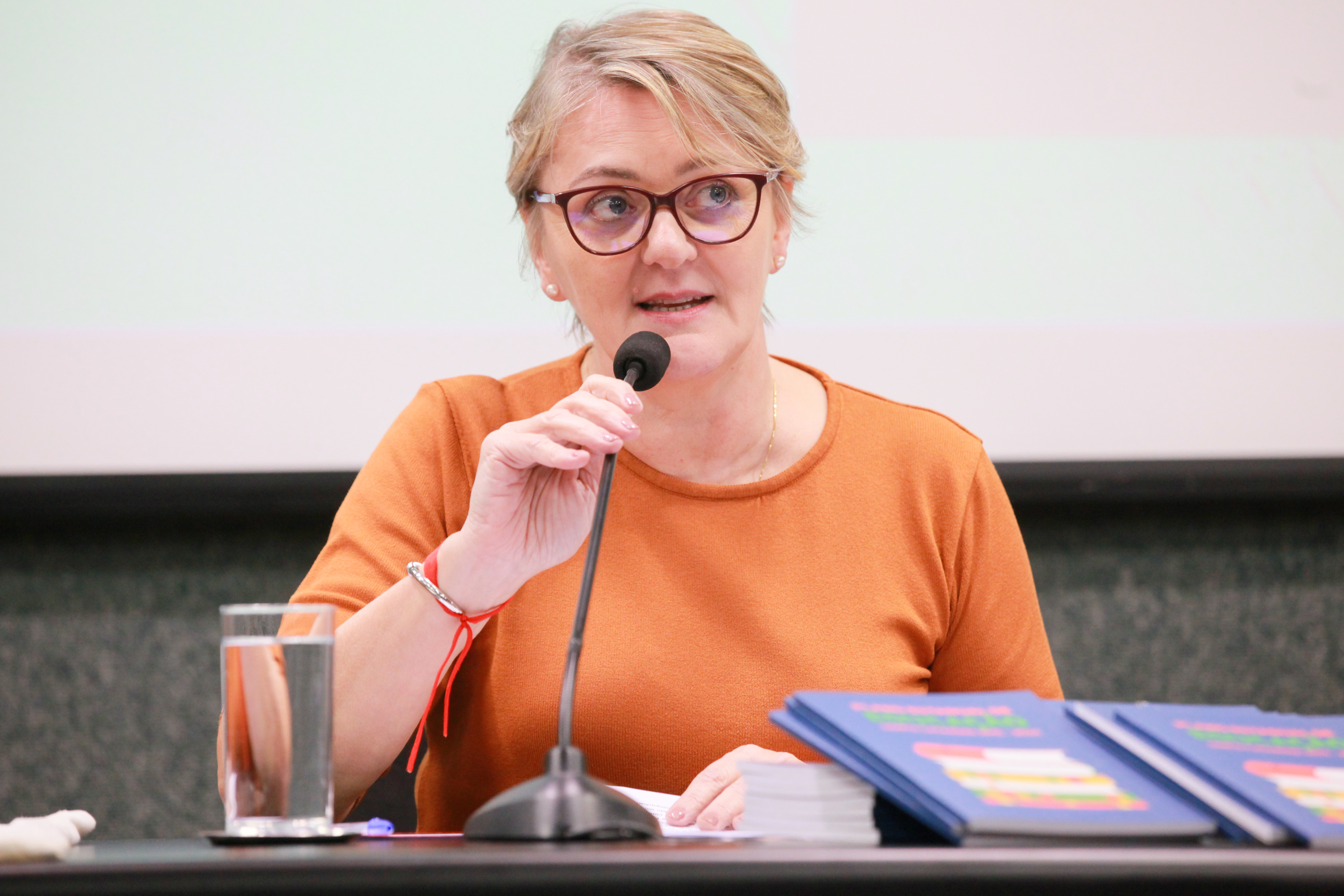 - Deputada Luciane Carminatti (PT)