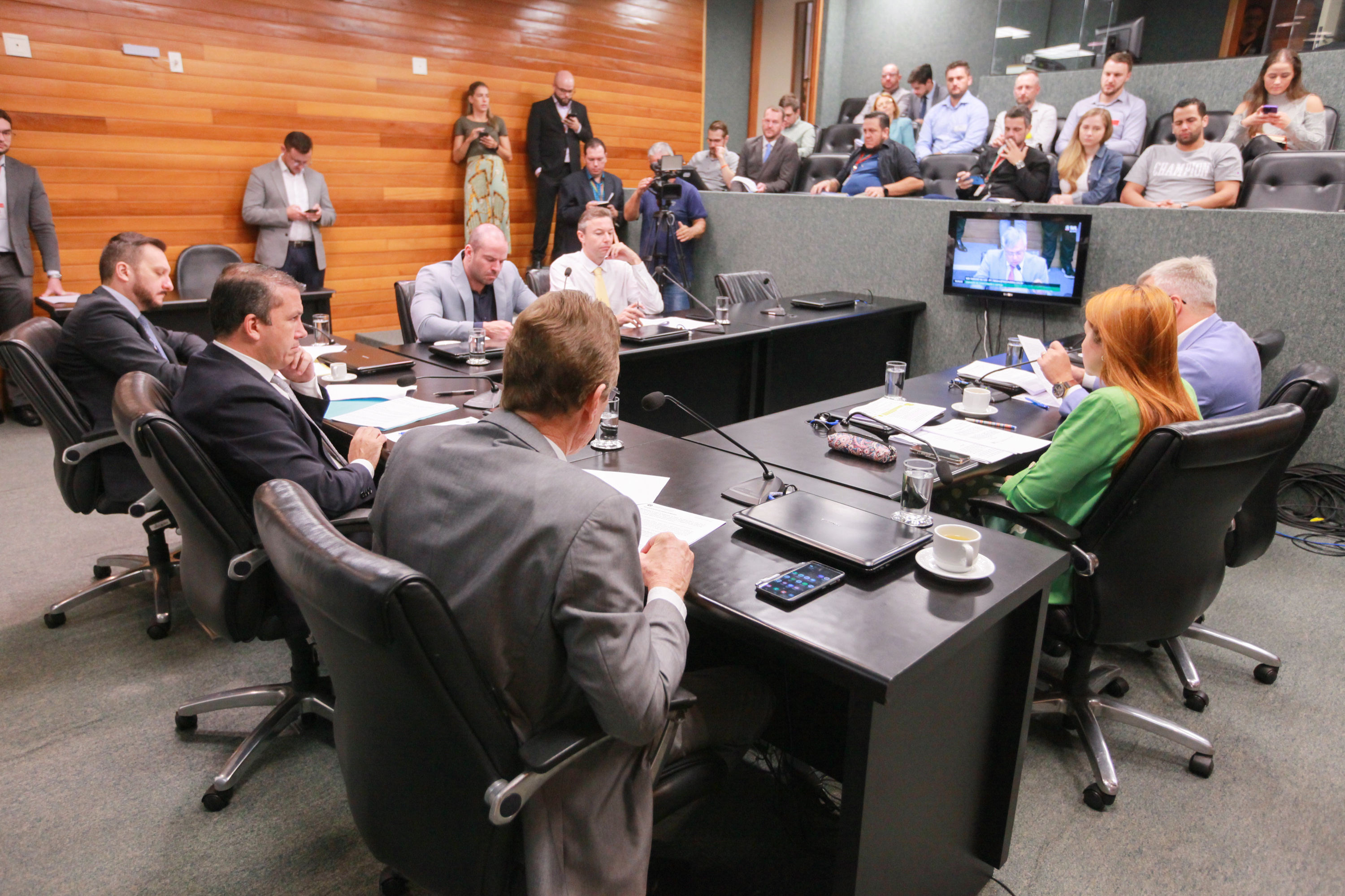- Comissão de Constituição e Justiça