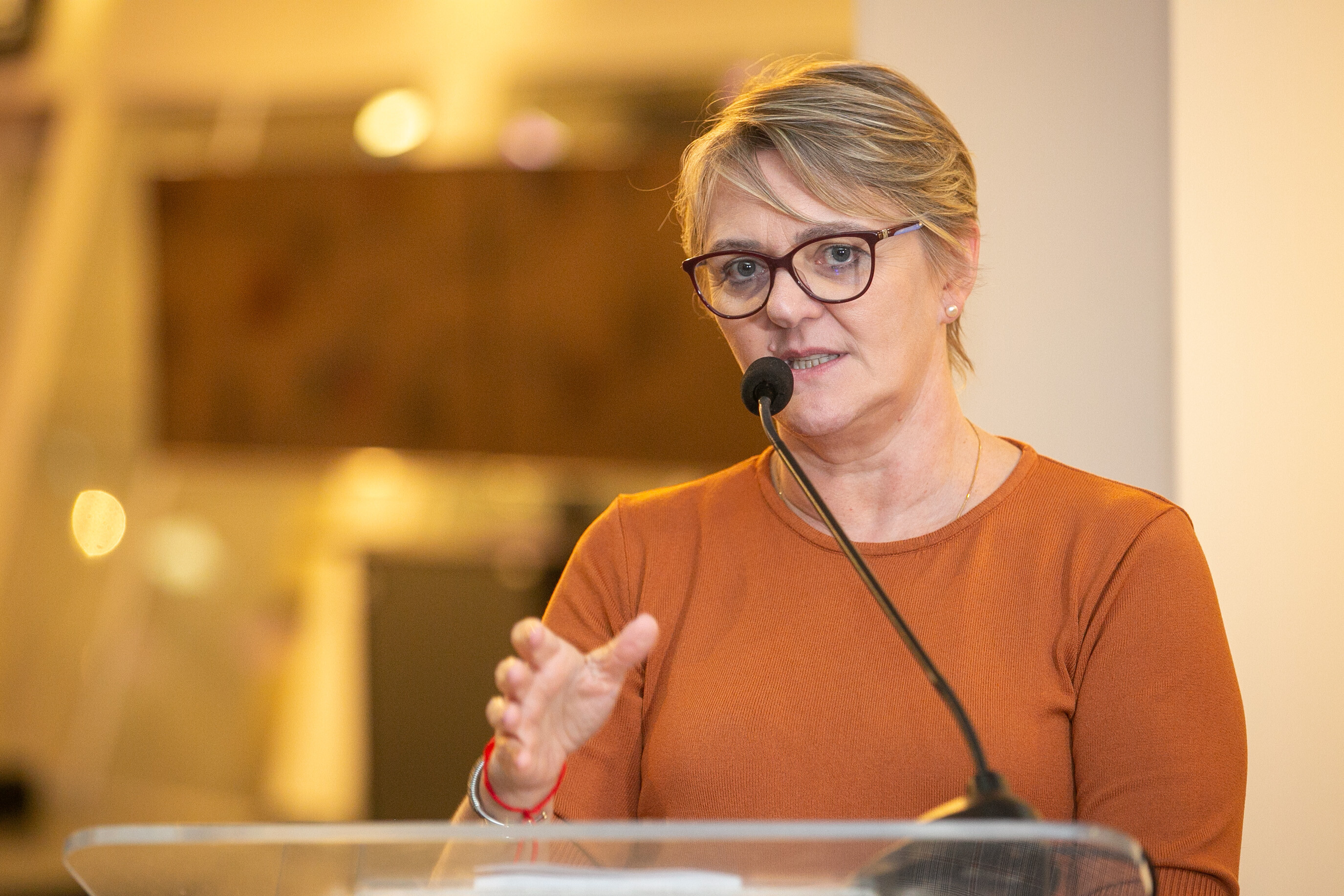 Deputada Luciane Carminatti