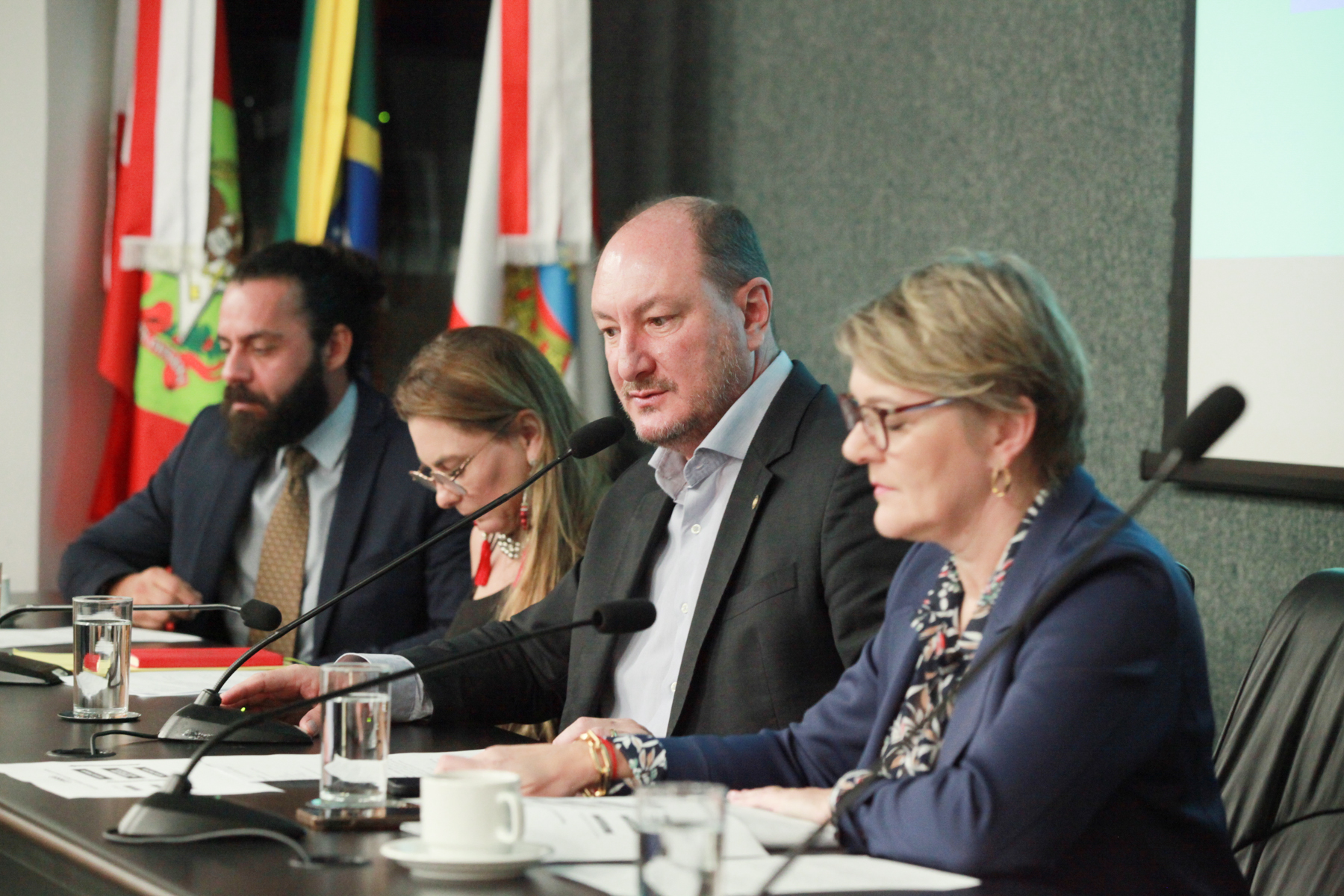 Reunião Comseg Escolar - Deputado Mauro de Nadal (MDB)
