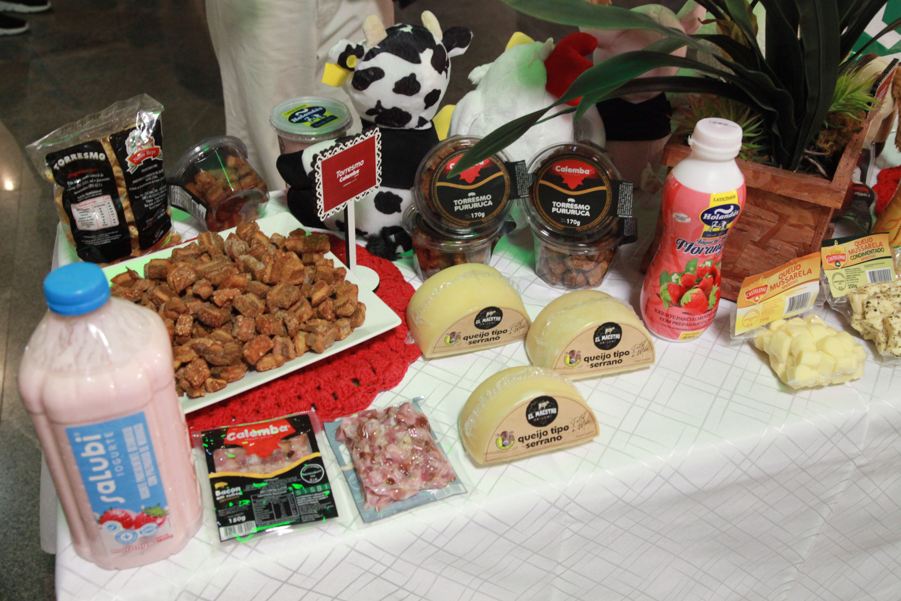 Apresentação do serviço de inspeção realizado pela Cidasc nas agroindústrias e degustação de produtos inspecionados.