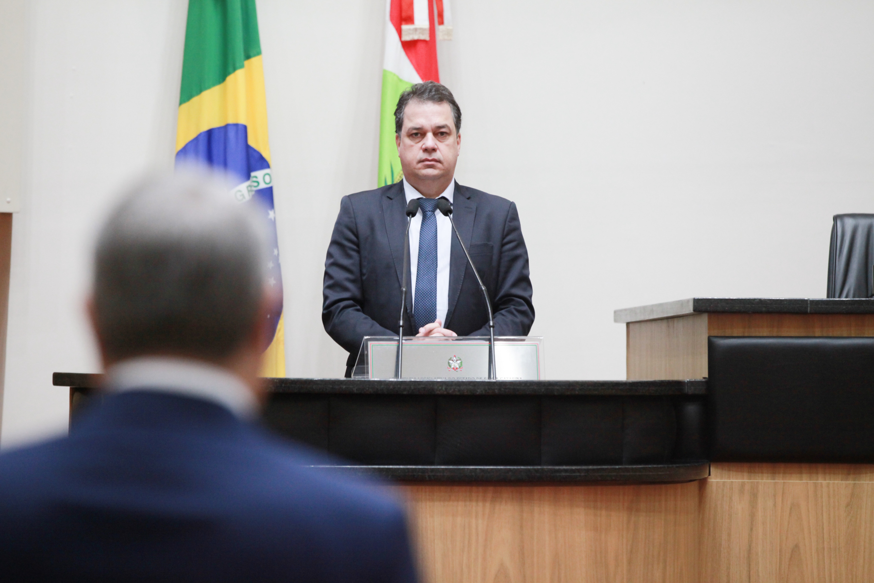 Sessão Plenária - Deputado Rodrigo Minotto (PDT)