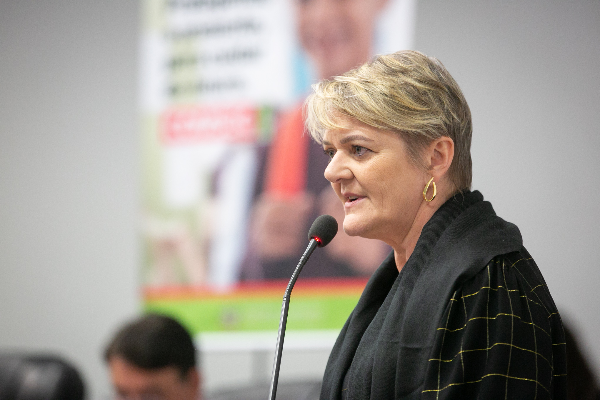 Deputada Luciane Carminatti (PT)