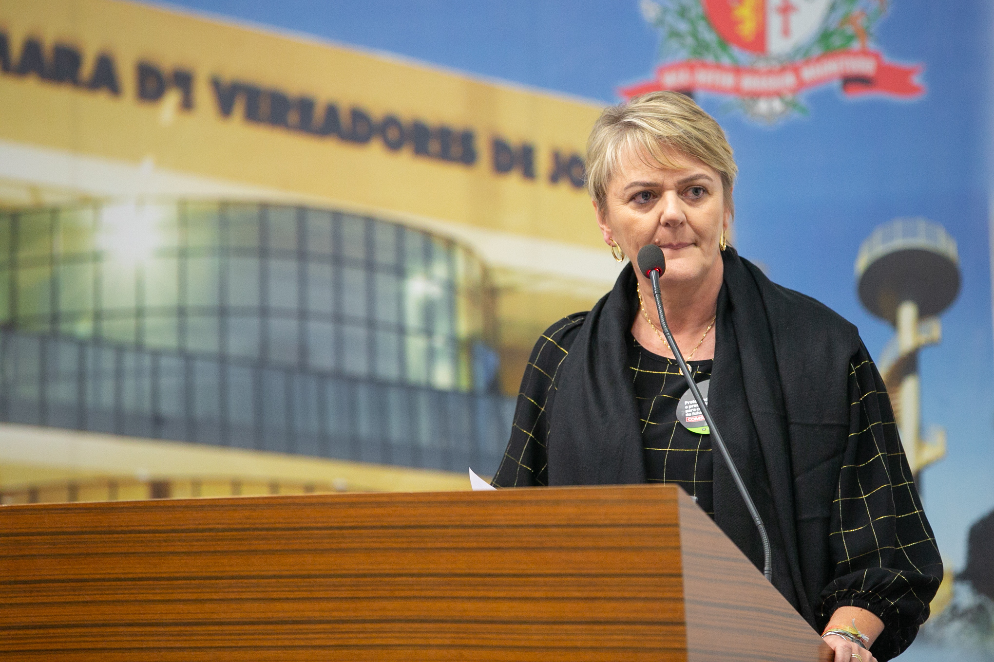 Deputada Luciane Carminatti (PT)