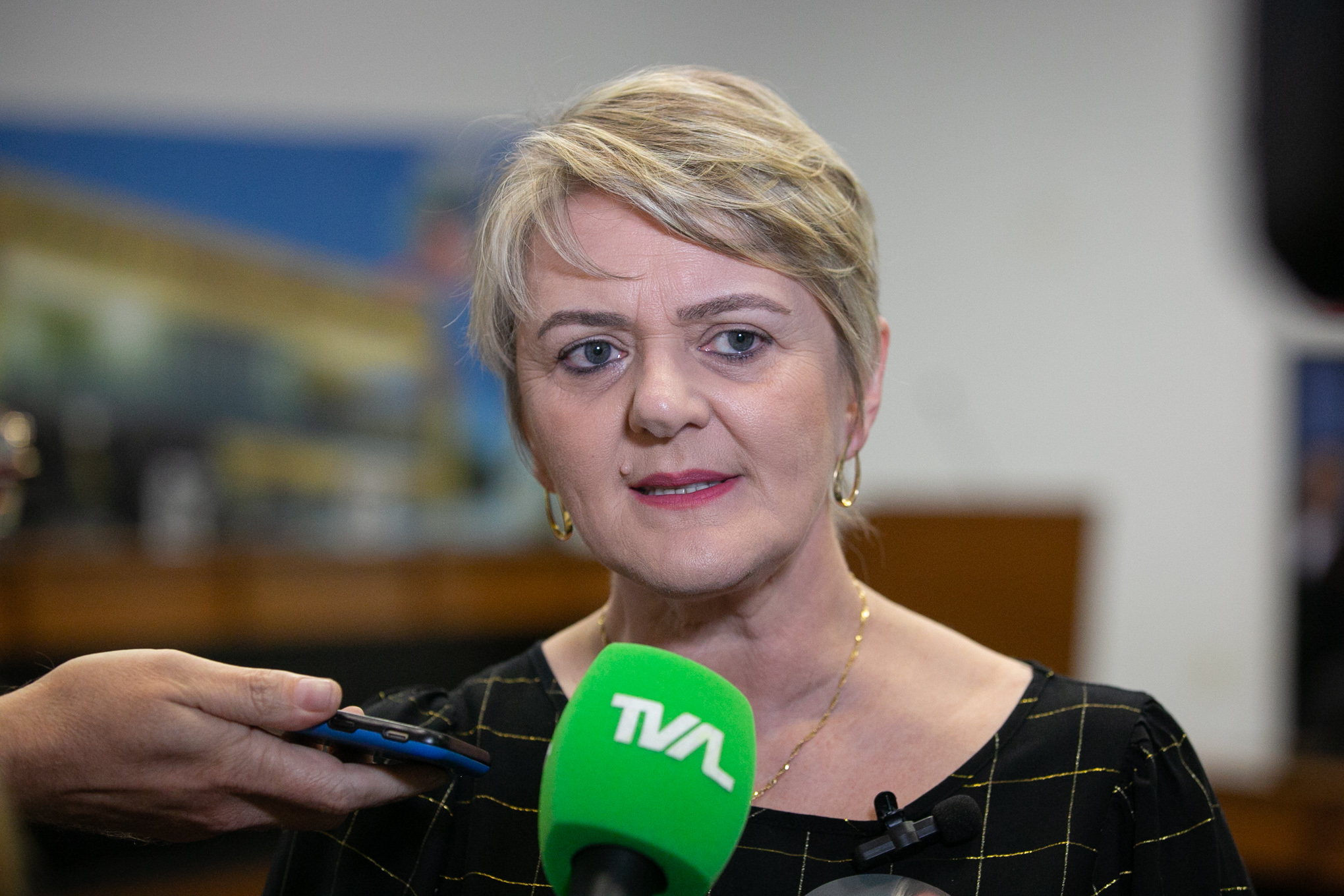 Deputada Luciane Carminatti (PT)