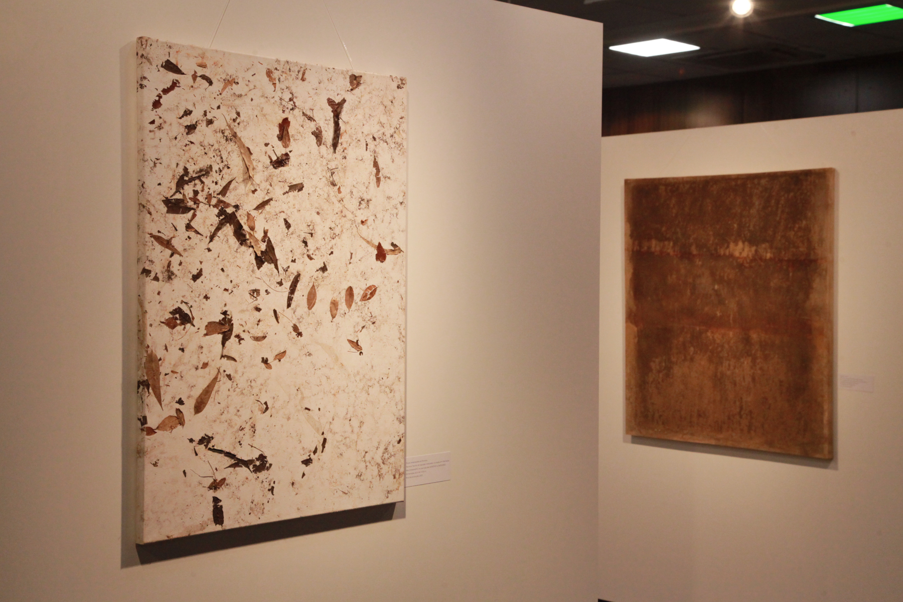 Exposição 