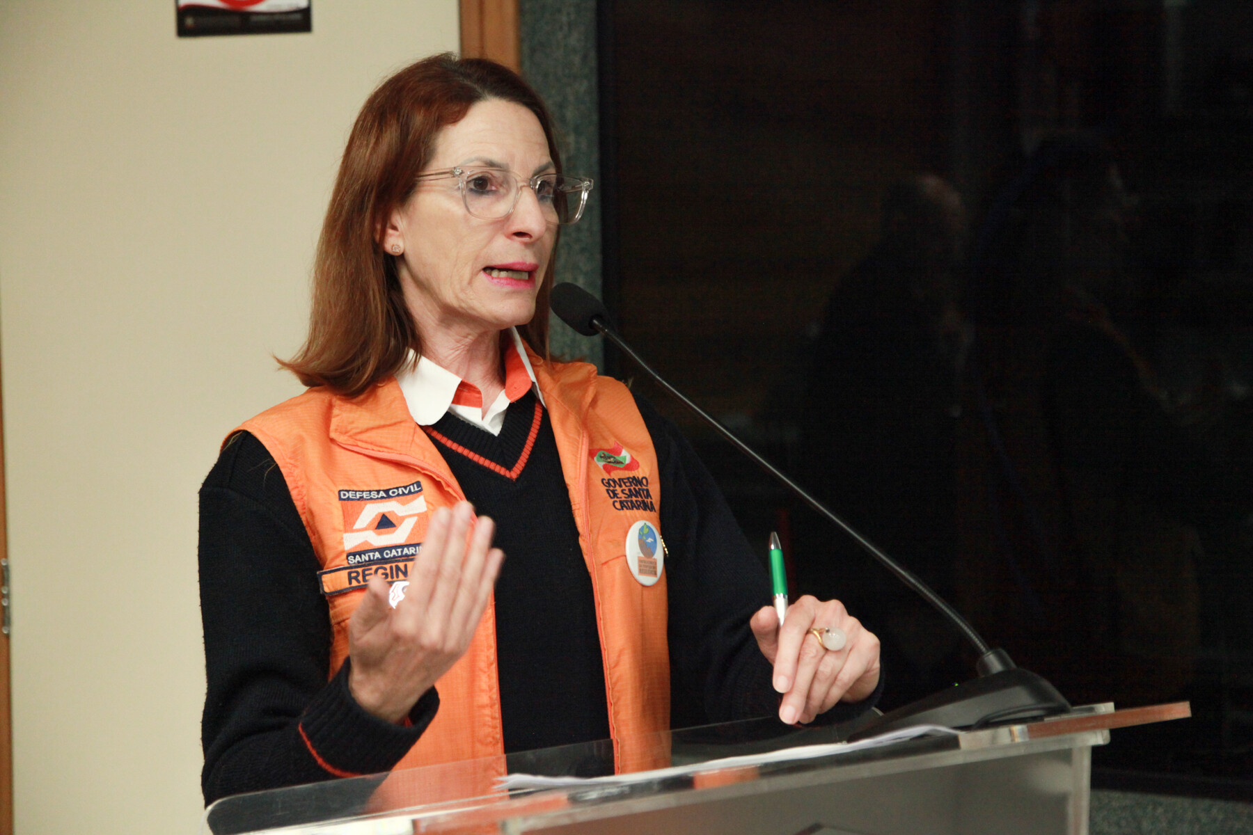 Coordenadora de Protocolo e Normas, Regina Panceri, da Defesa Civil do Estado