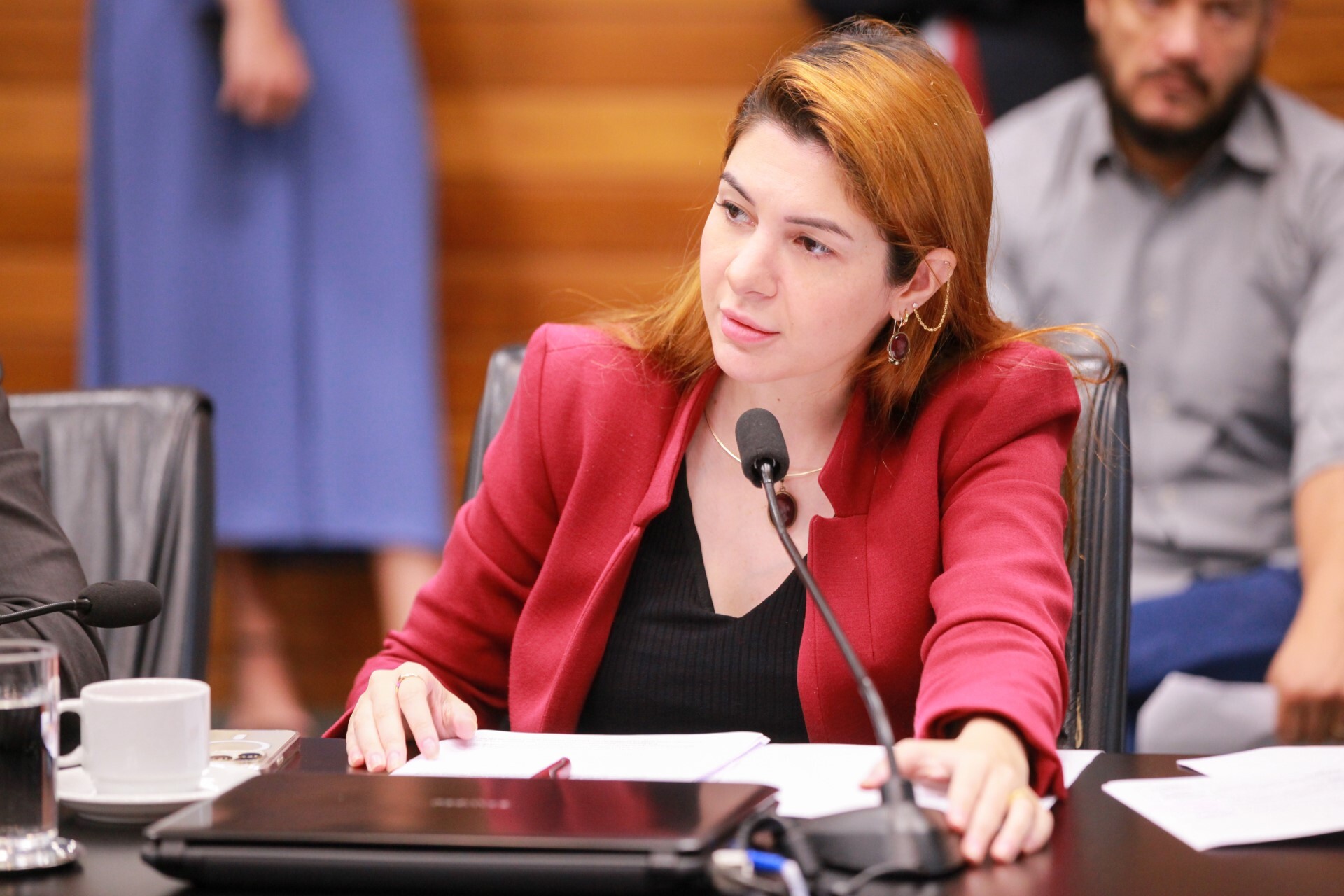 Jornalista que chamou catarinenses de nazistas pode ser processada